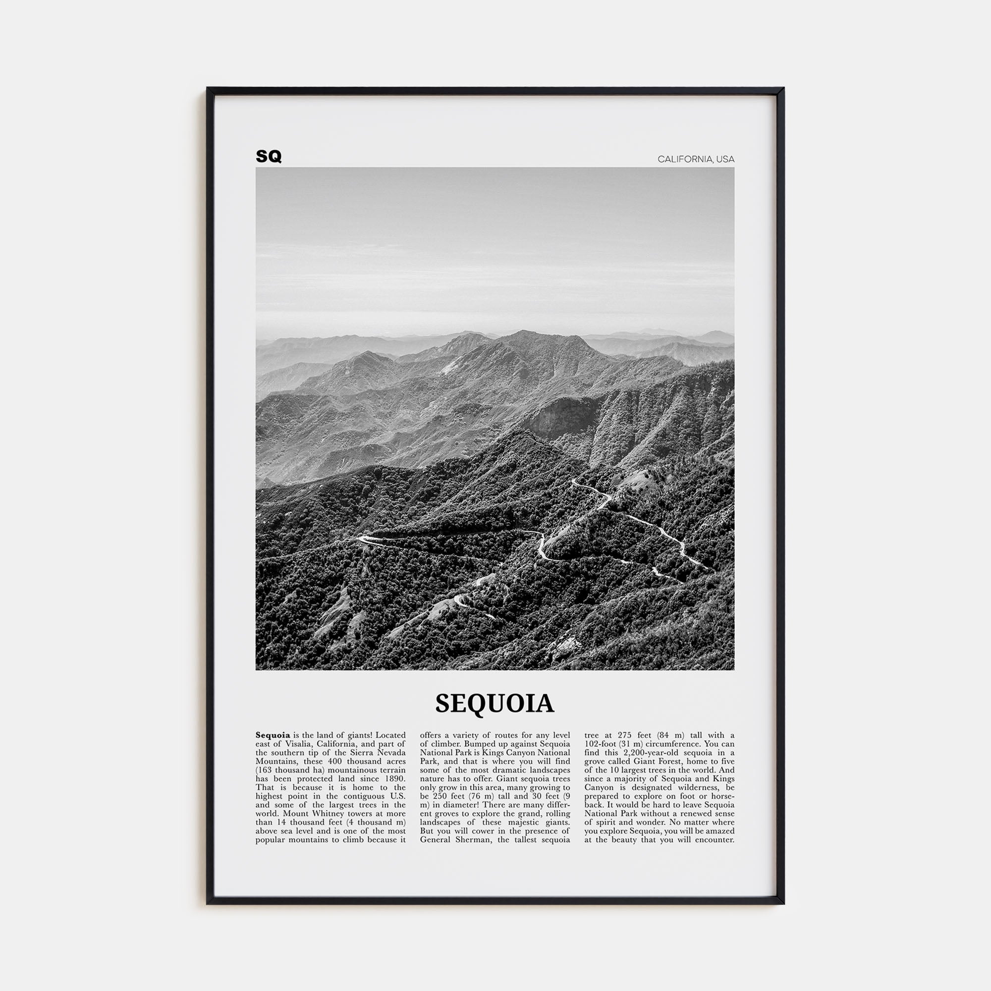 Sequoia National Park Travel B&W Poster