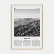 Sequoia National Park Travel B&W Poster
