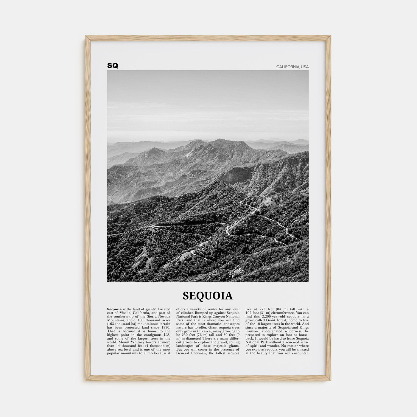 Sequoia National Park Travel B&W Poster