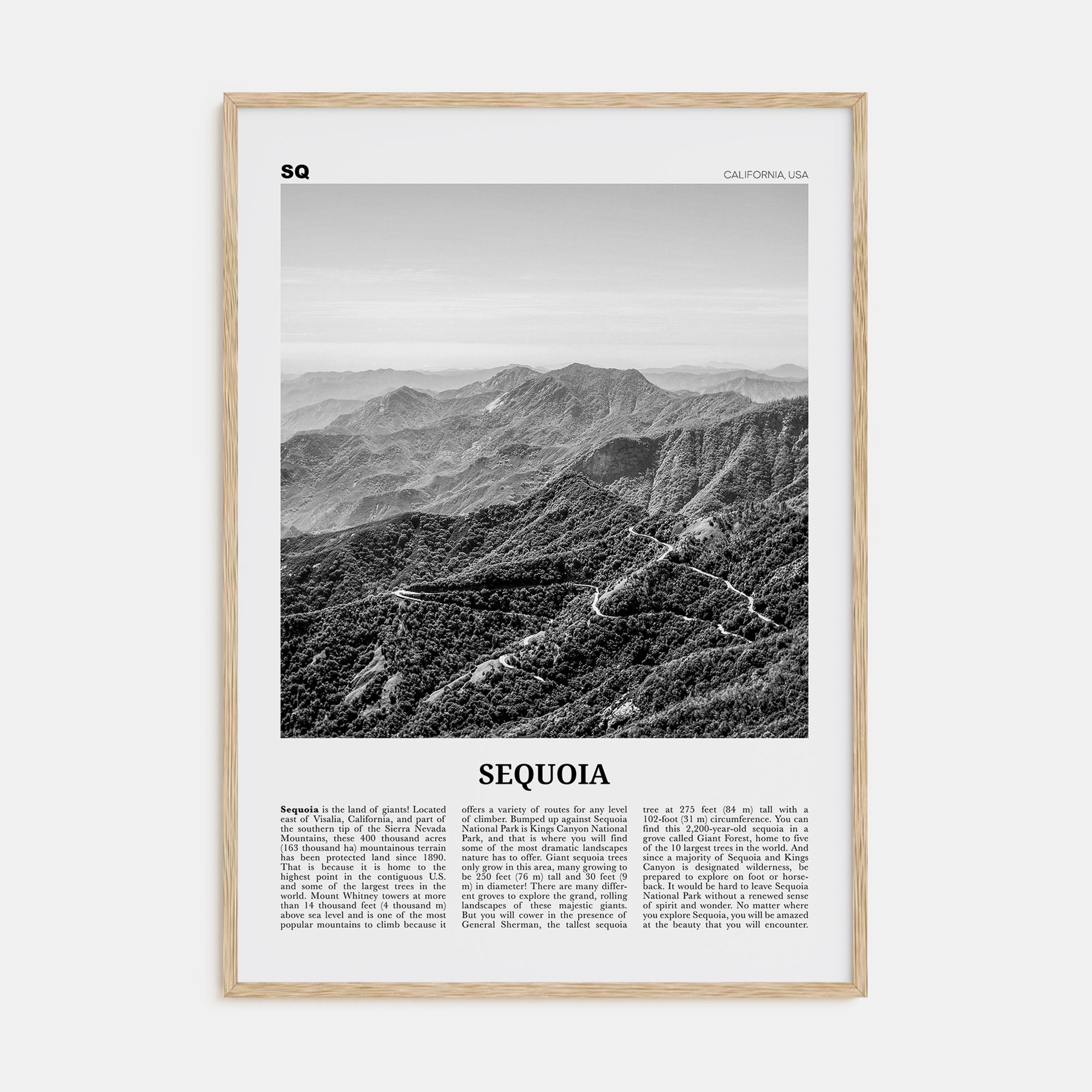 Sequoia National Park Travel B&W Poster