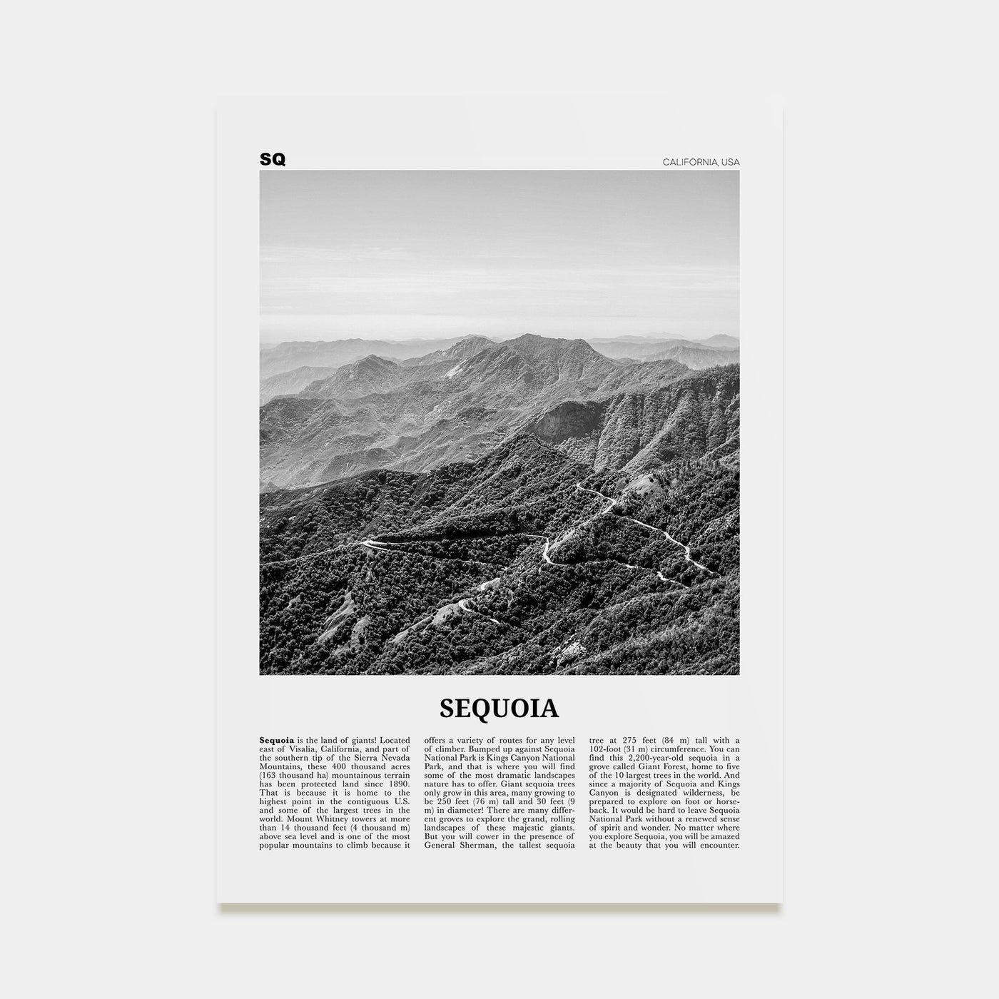 Sequoia National Park Travel B&W Poster