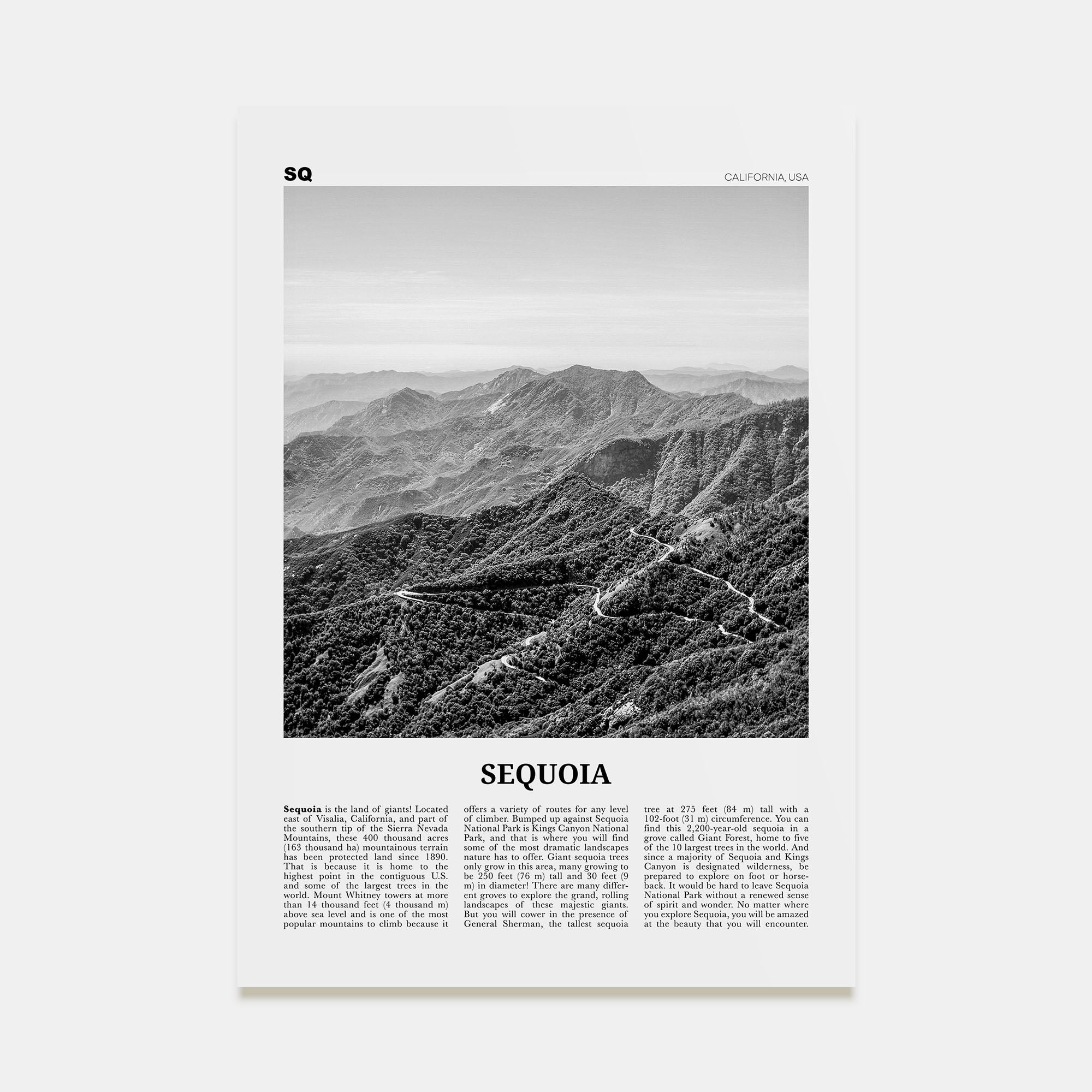 Sequoia National Park Travel B&W Poster