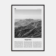 Sequoia National Park Travel B&W Poster