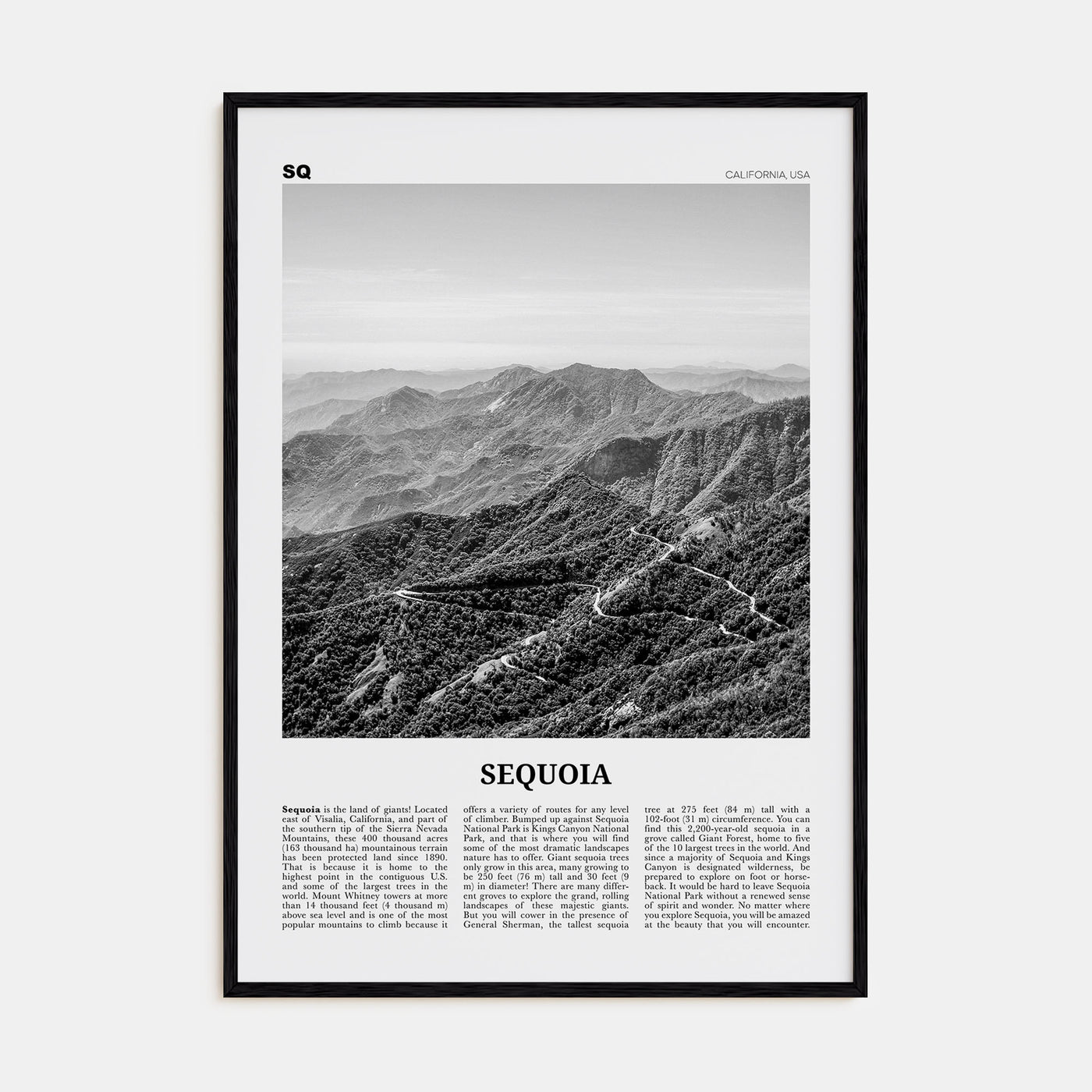 Sequoia National Park Travel B&W Poster