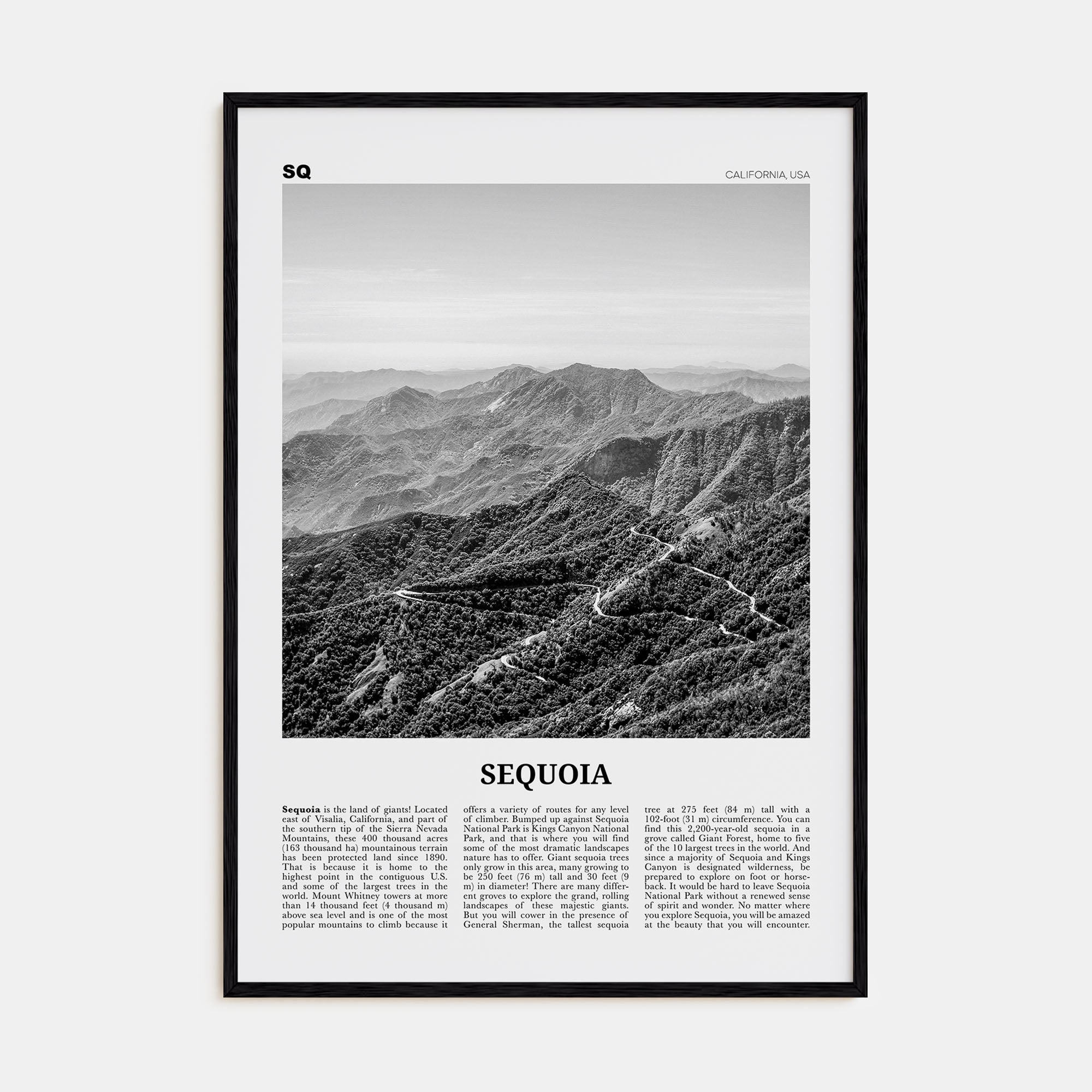 Sequoia National Park Travel B&W Poster