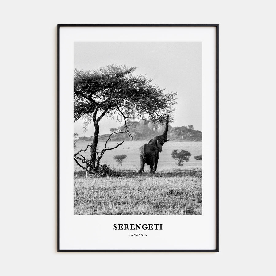 Serengeti National Park Portrait B&W Poster