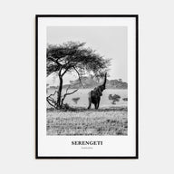 Serengeti National Park Portrait B&W Poster