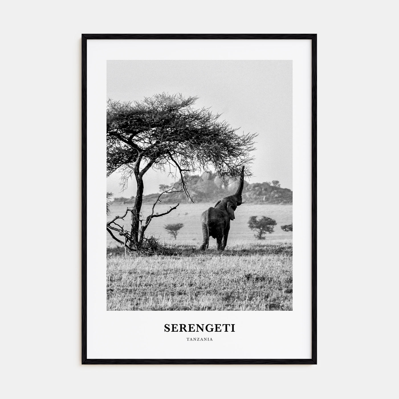 Serengeti National Park Portrait B&W Poster