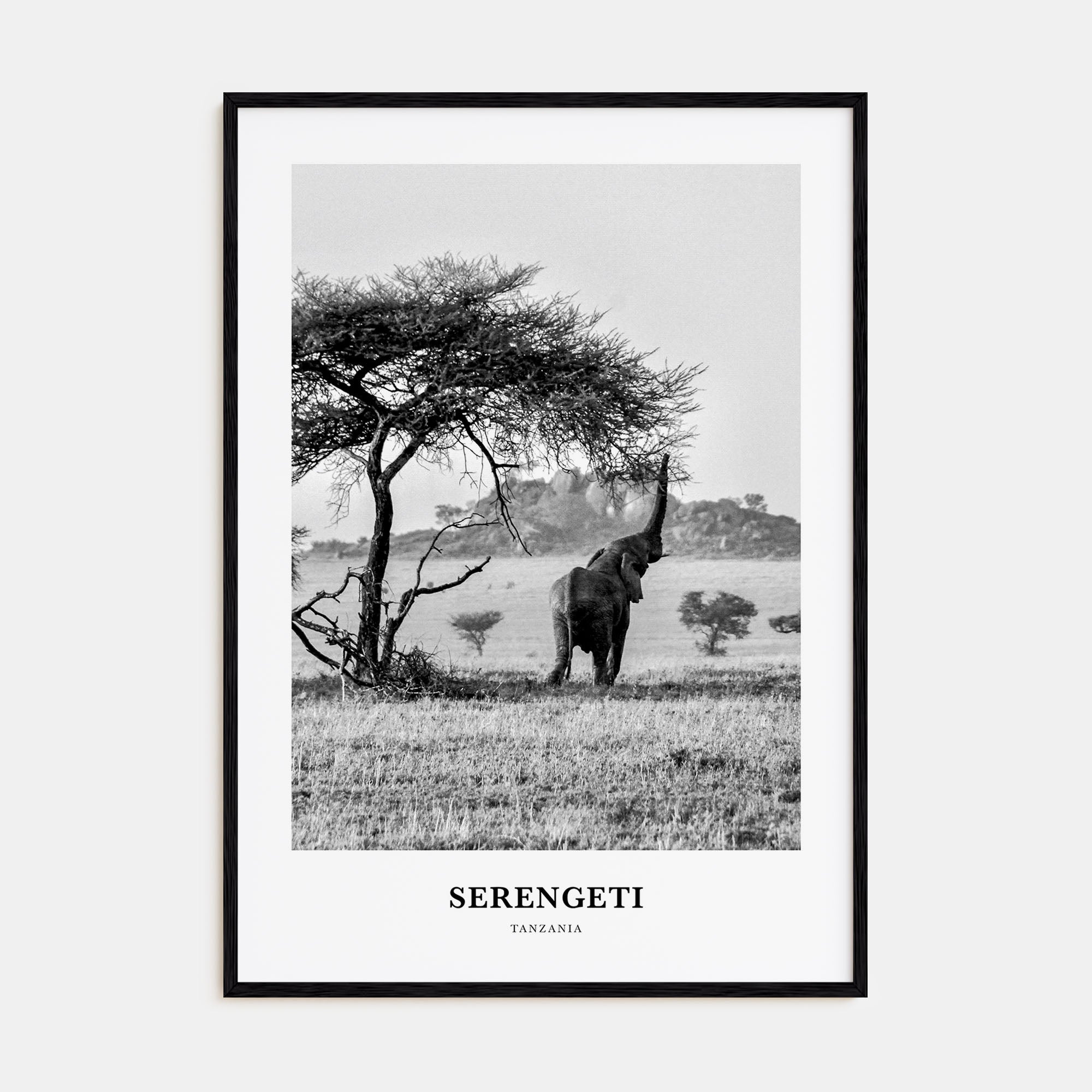 Serengeti National Park Portrait B&W Poster
