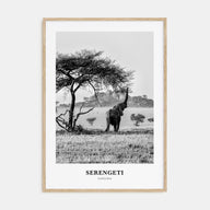 Serengeti National Park Portrait B&W Poster