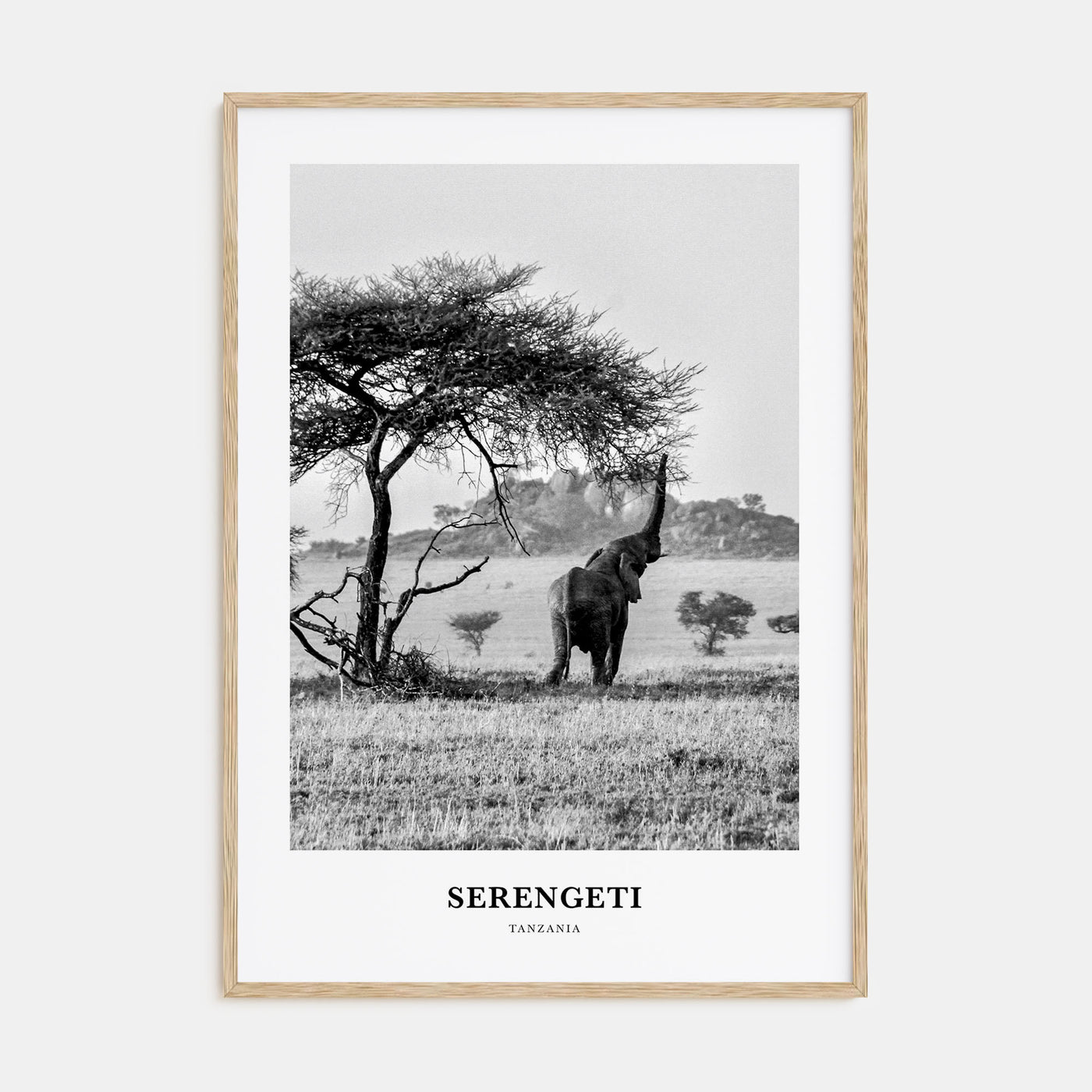 Serengeti National Park Portrait B&W Poster
