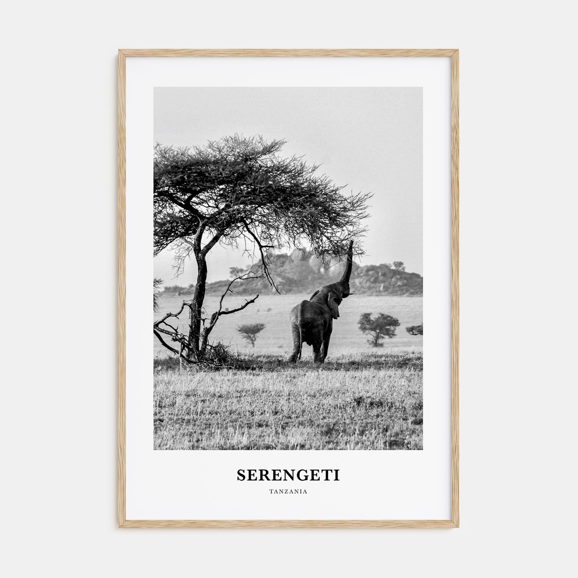 Serengeti National Park Portrait B&W Poster