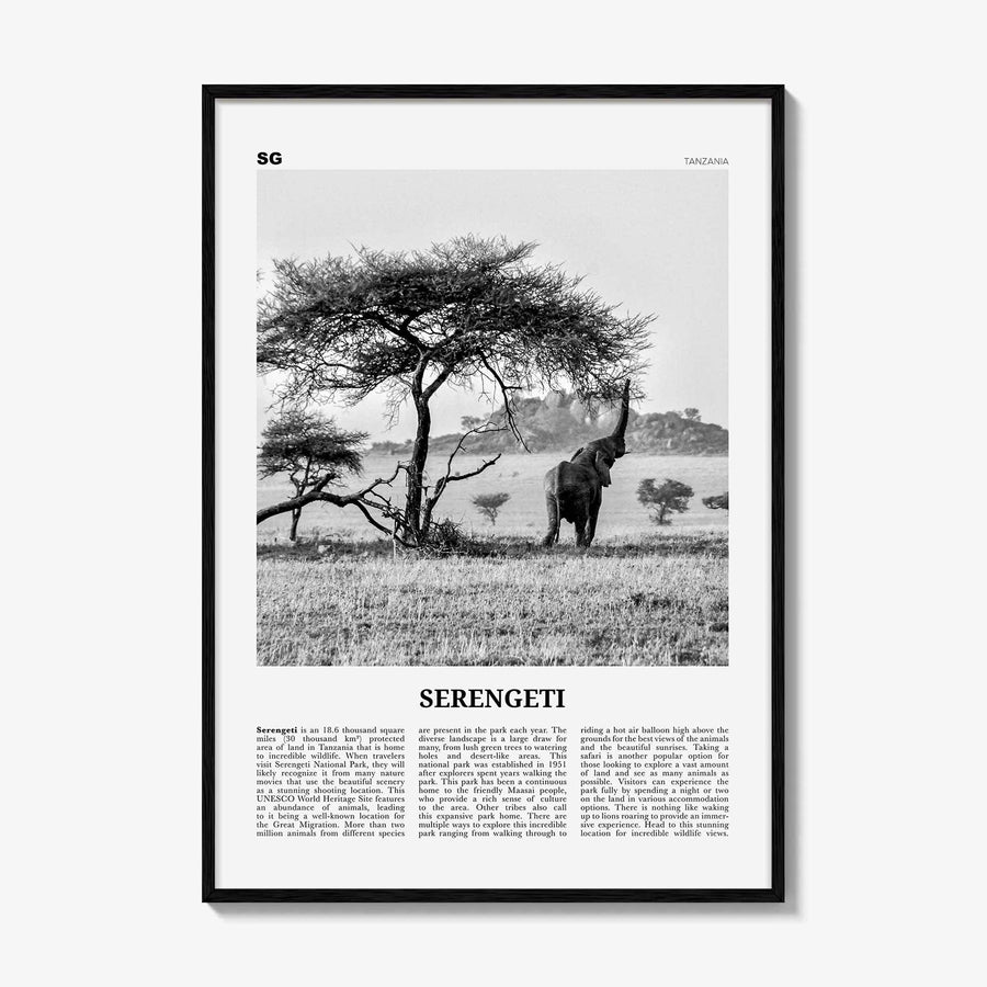 Serengeti National Park Print Black and White, Serengeti Wall Art, Serengeti Poster, Serengeti Photo, Serengeti Wall Décor, Tanzania