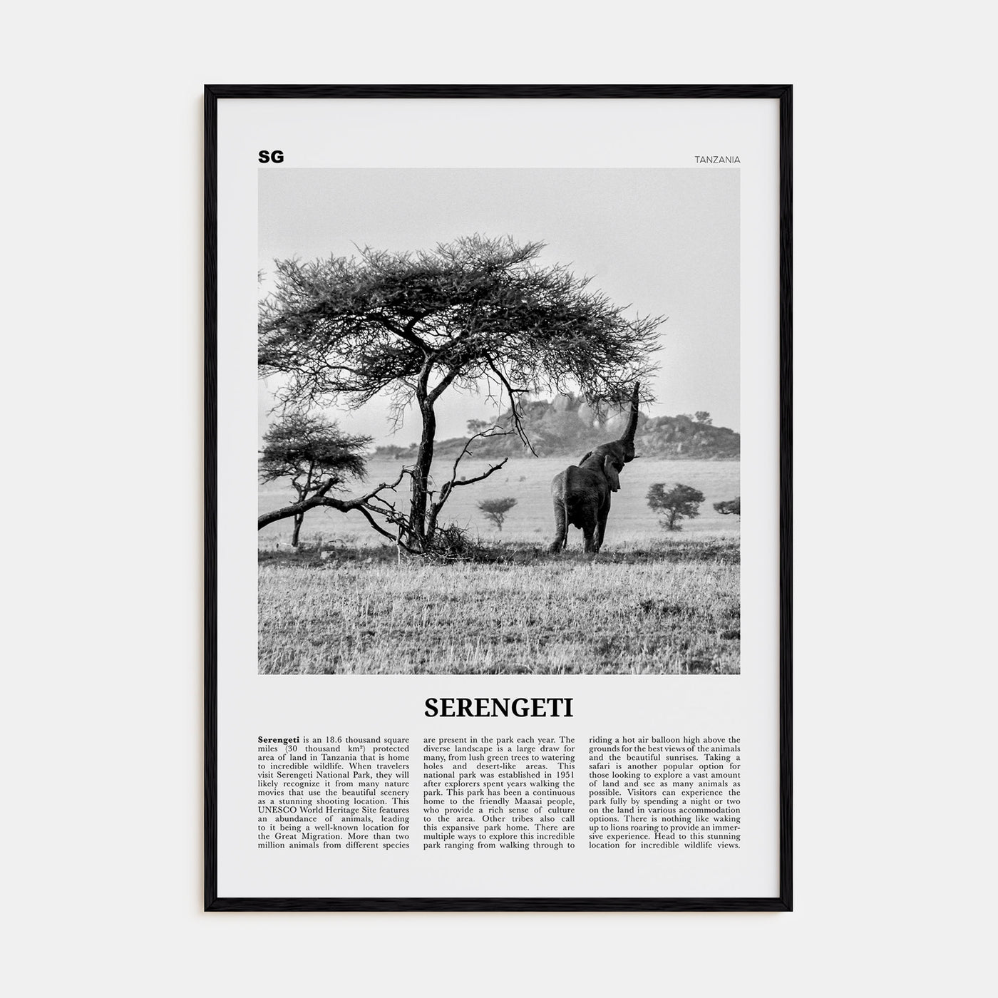 Serengeti National Park Travel B&W Poster