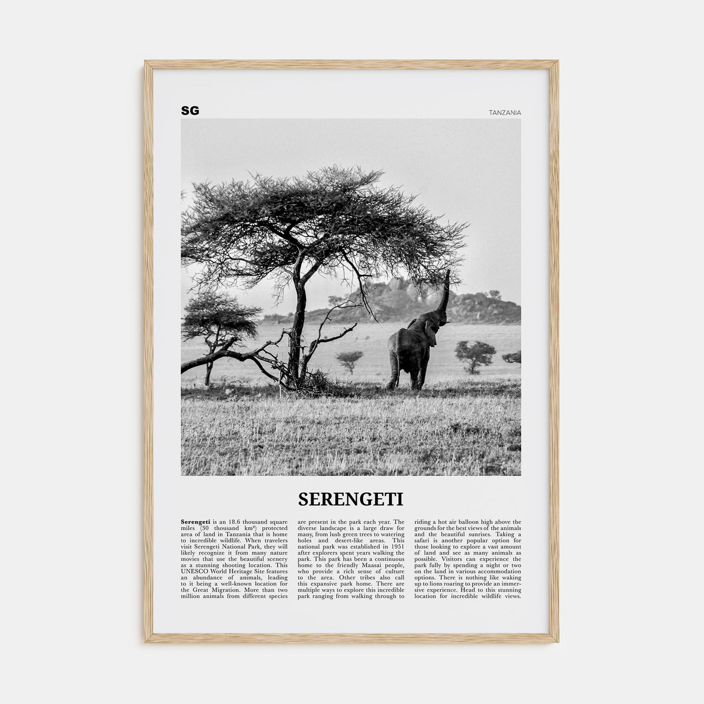 Serengeti National Park Travel B&W Poster