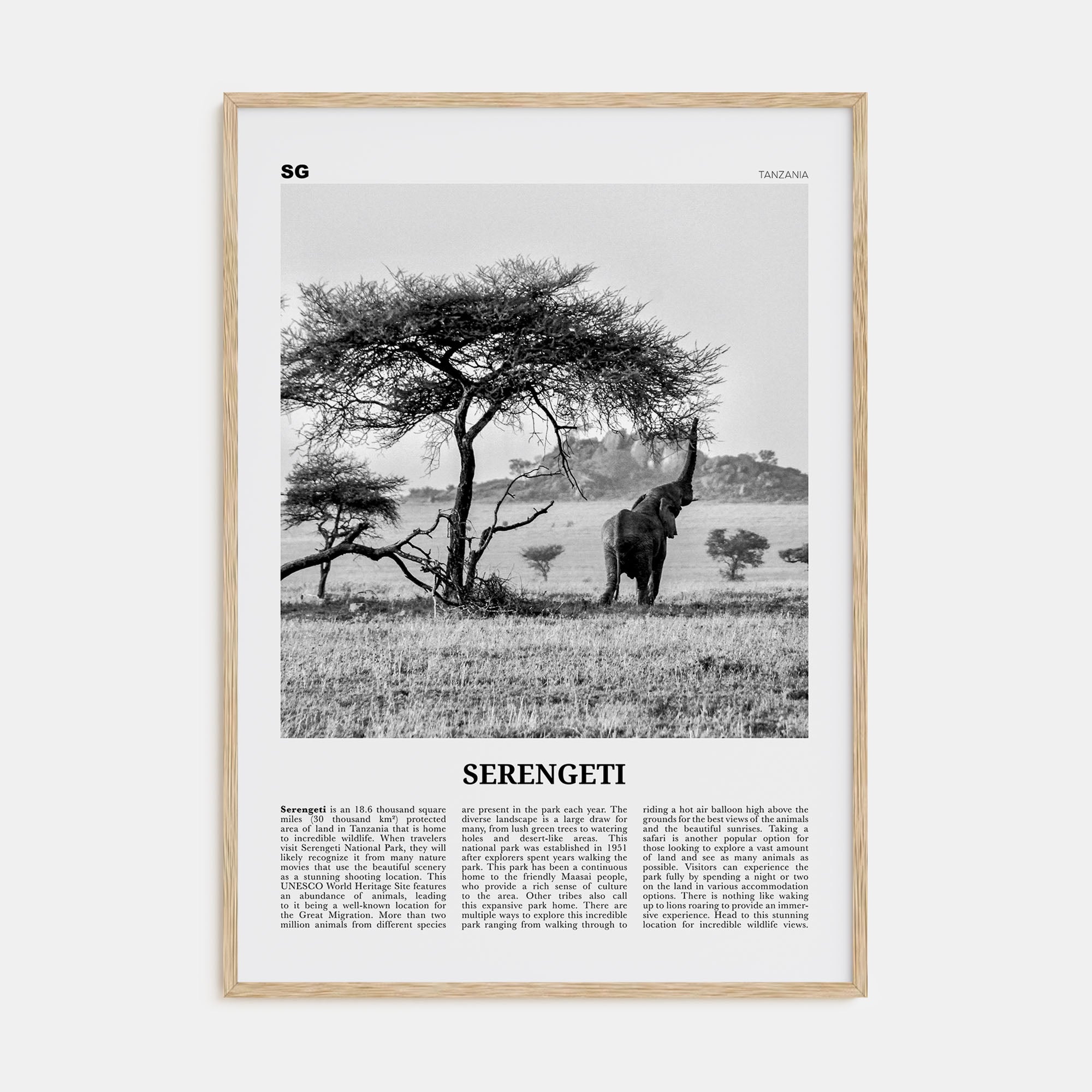 Serengeti National Park Travel B&W Poster