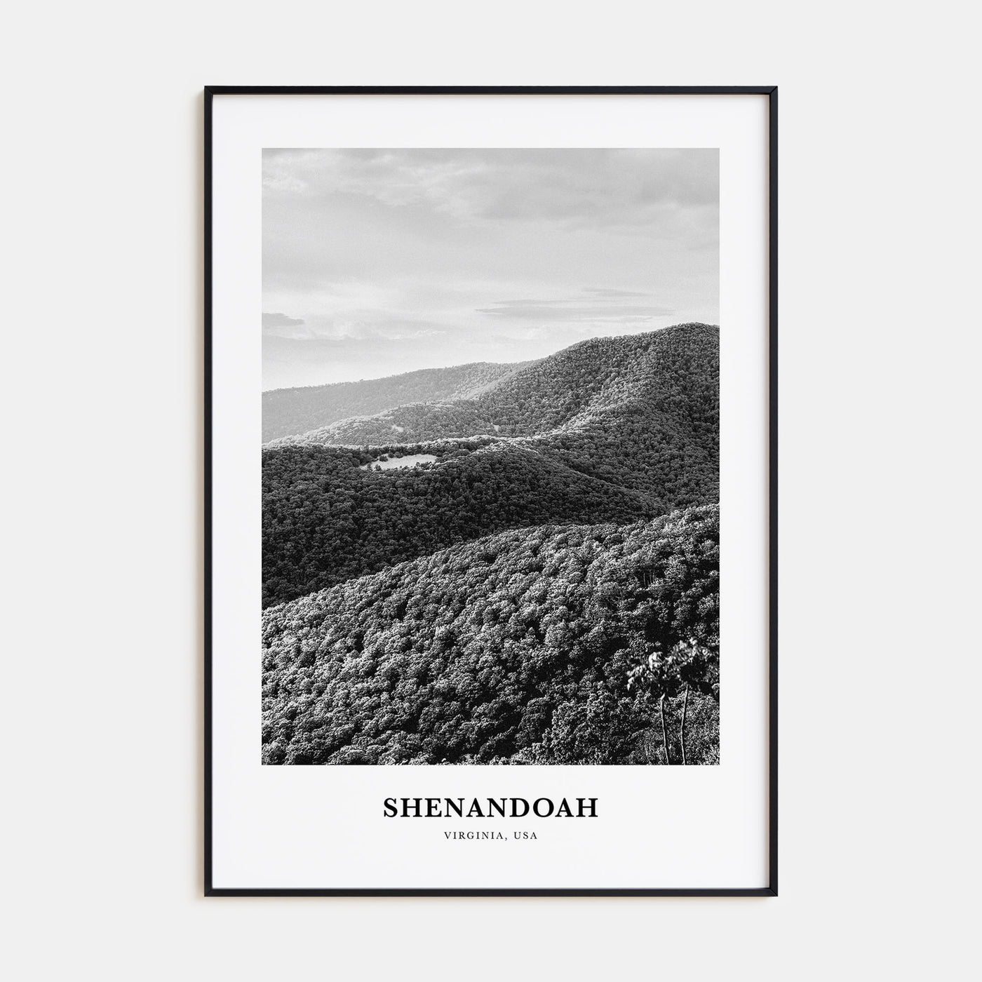 Shenandoah Portrait B&W Poster