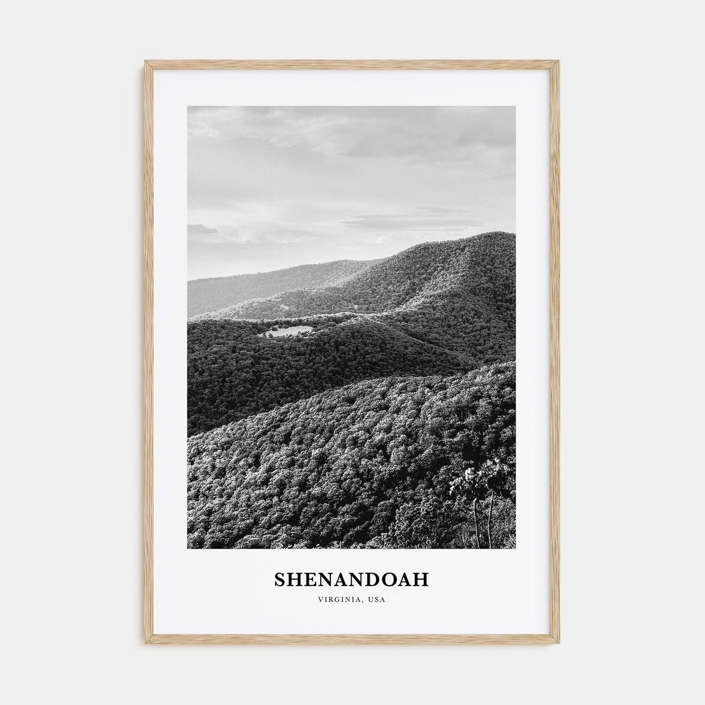 Shenandoah Portrait B&W Poster