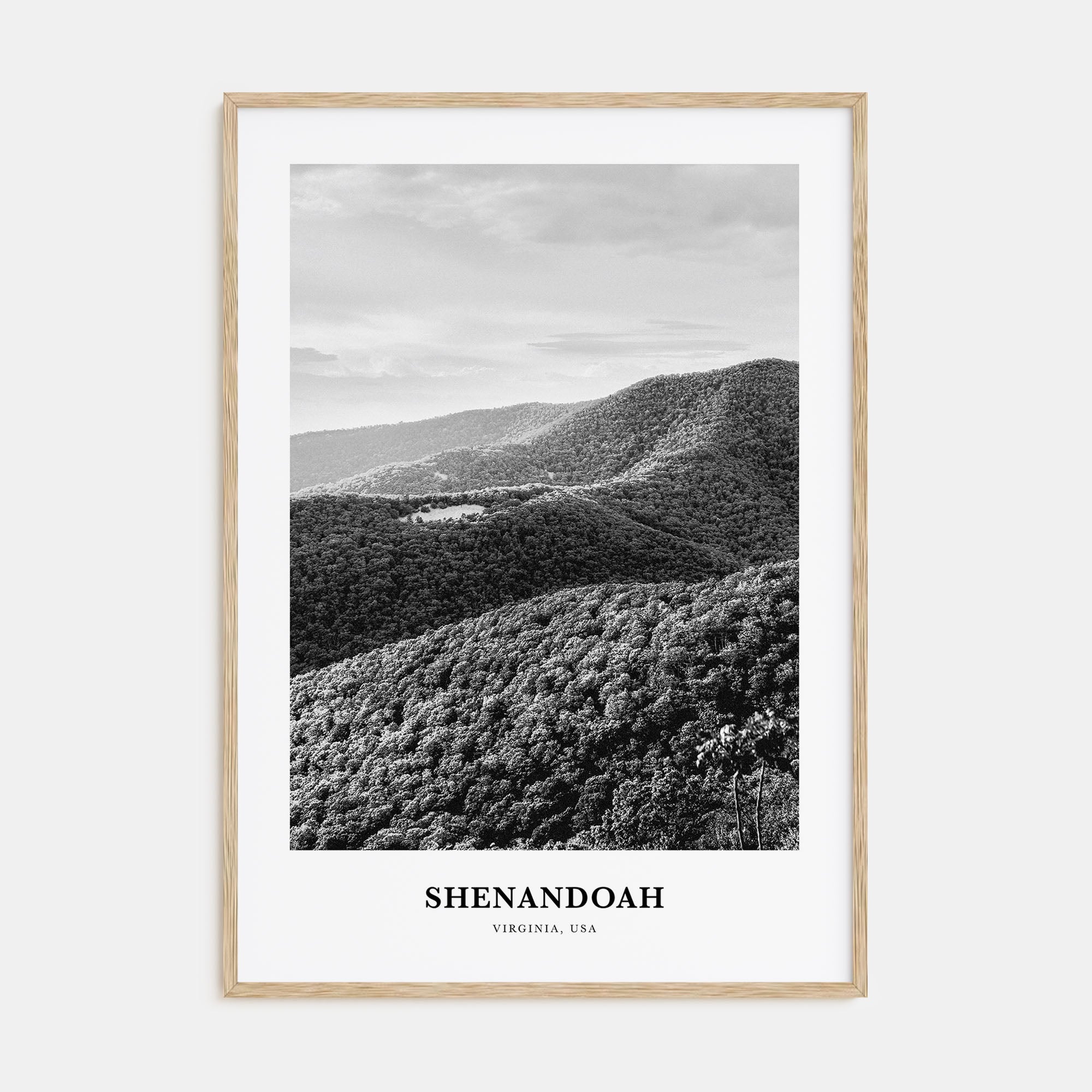 Shenandoah Portrait B&W Poster