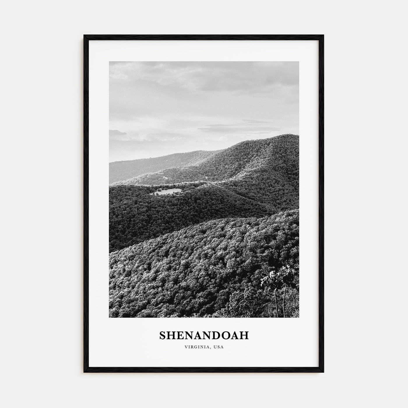 Shenandoah Portrait B&W Poster