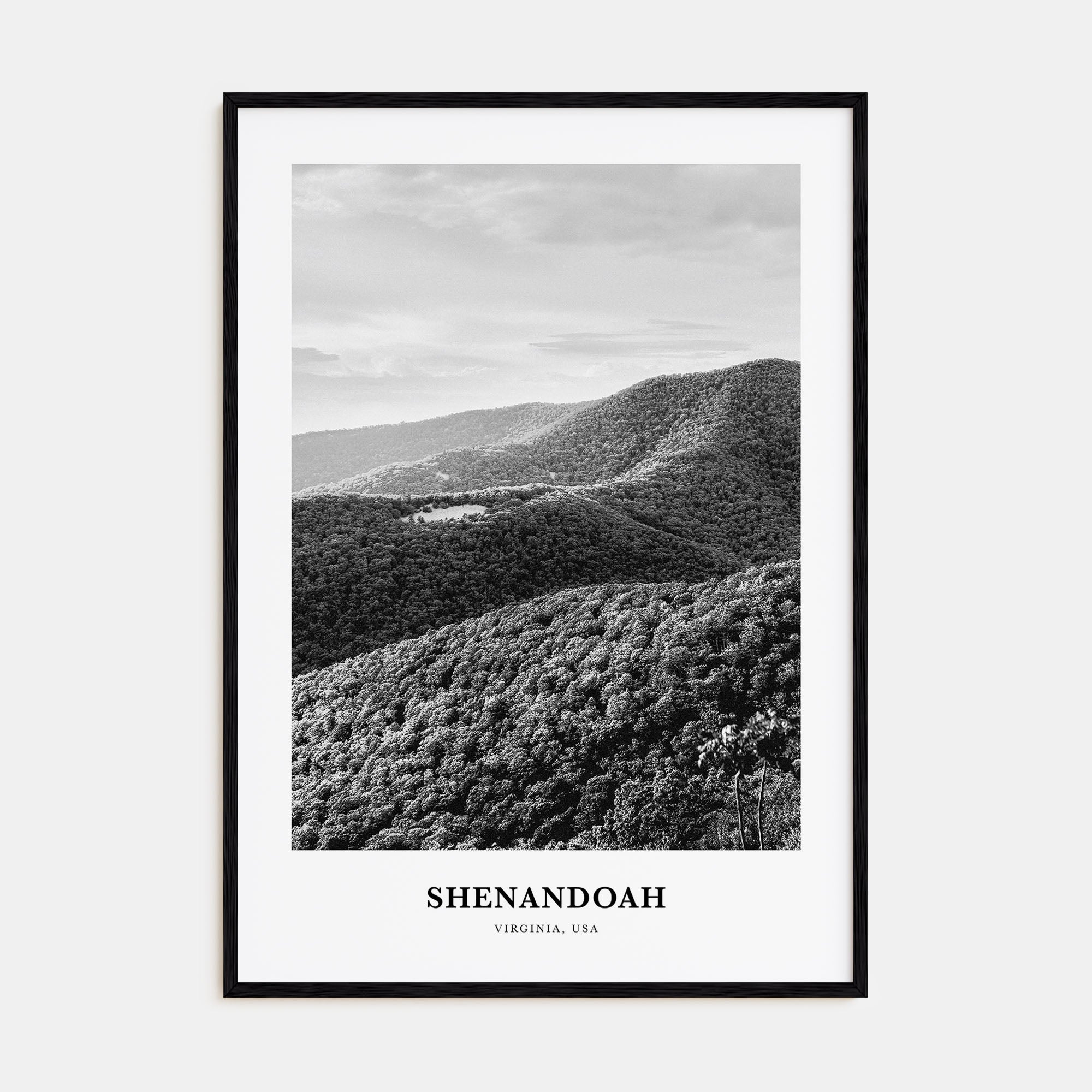 Shenandoah Portrait B&W Poster