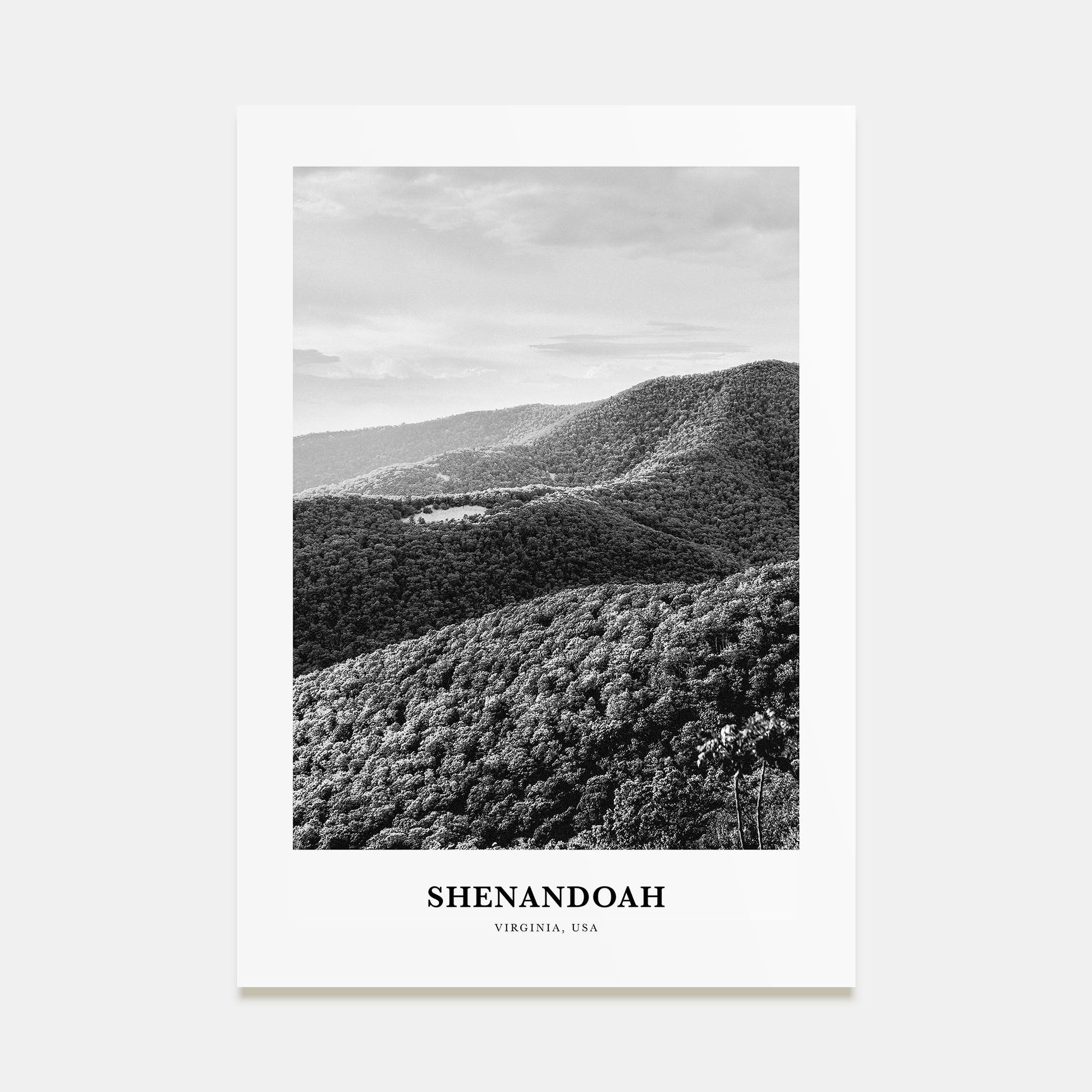 Shenandoah Portrait B&W Poster