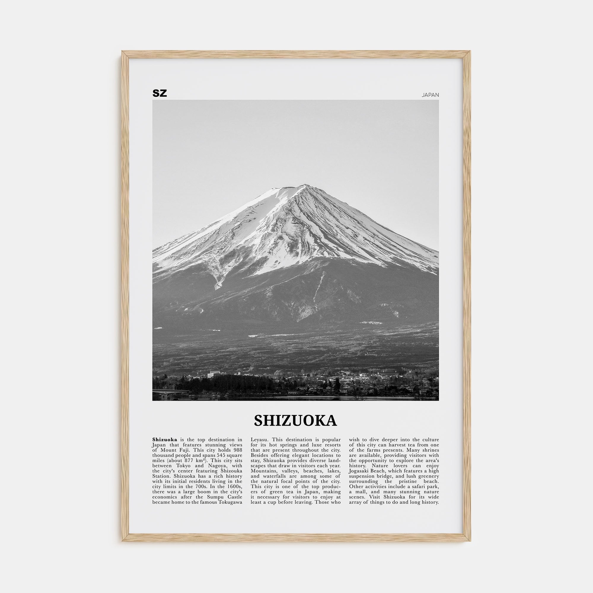 Shizuoka Travel B&W Poster