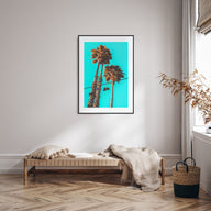 Shoes Hanging Photo Color Poster