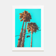 Shoes Hanging Photo Color Poster