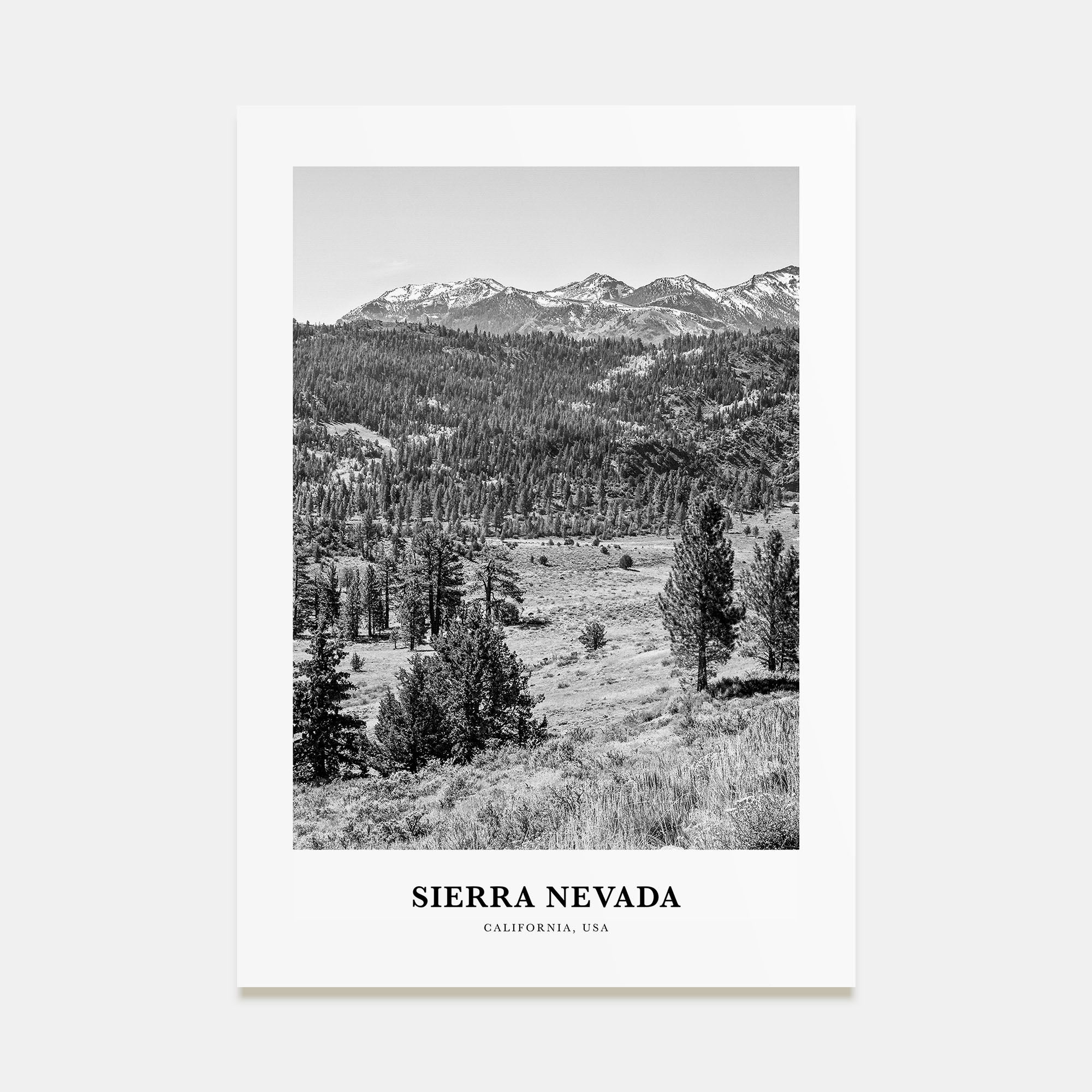 Sierra Nevada Portrait B&W Poster