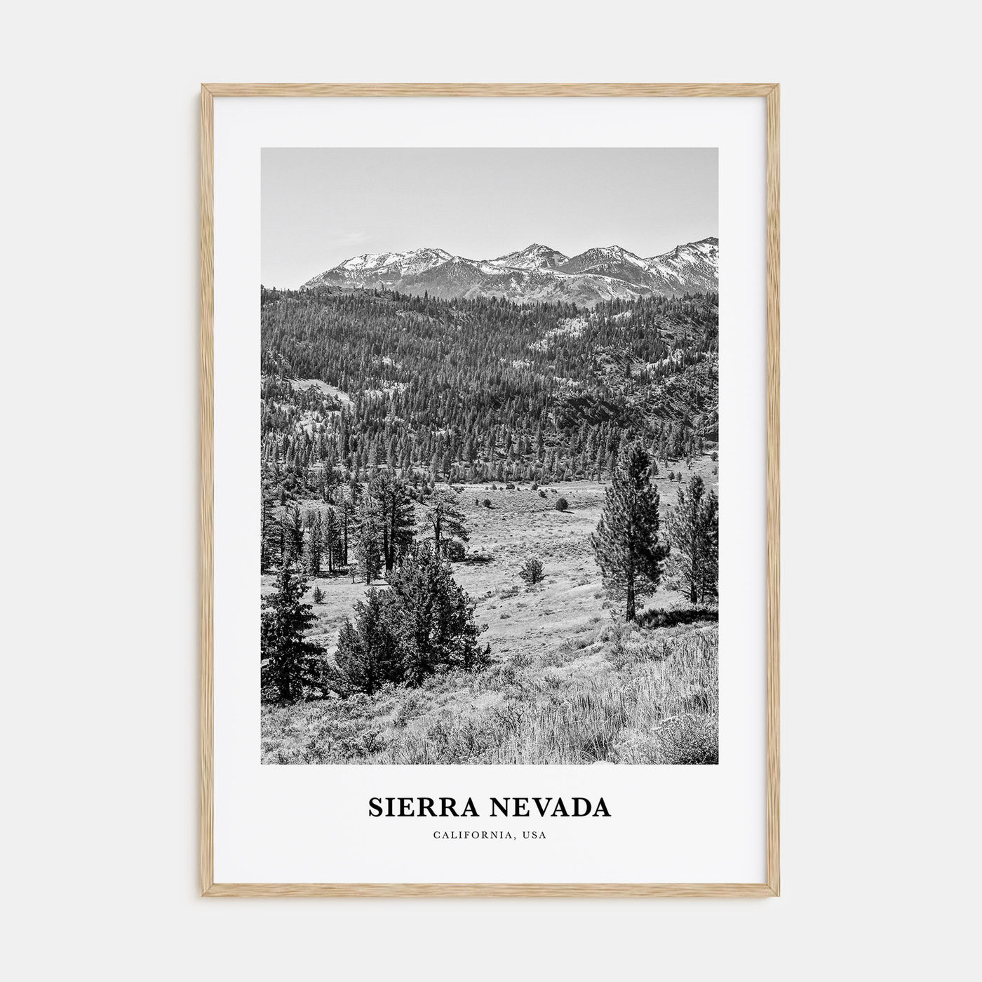 Sierra Nevada Portrait B&W Poster