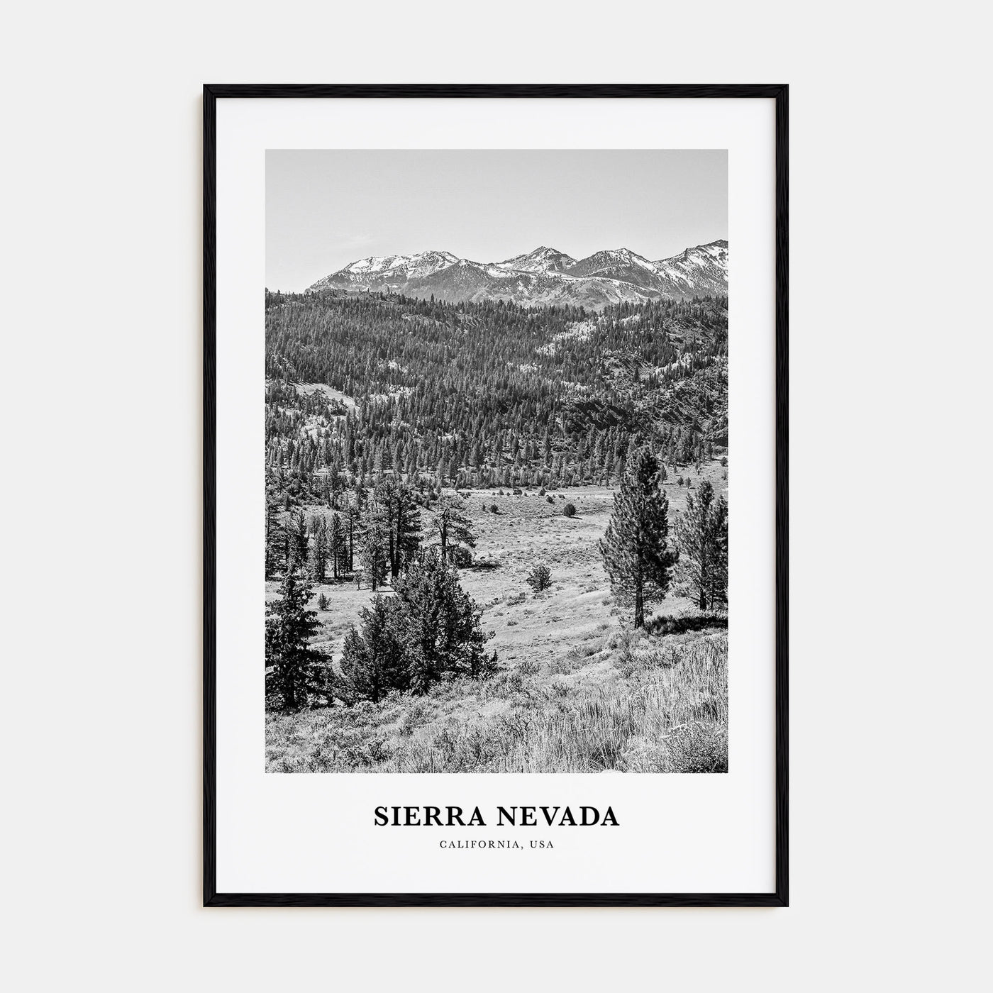 Sierra Nevada Portrait B&W Poster