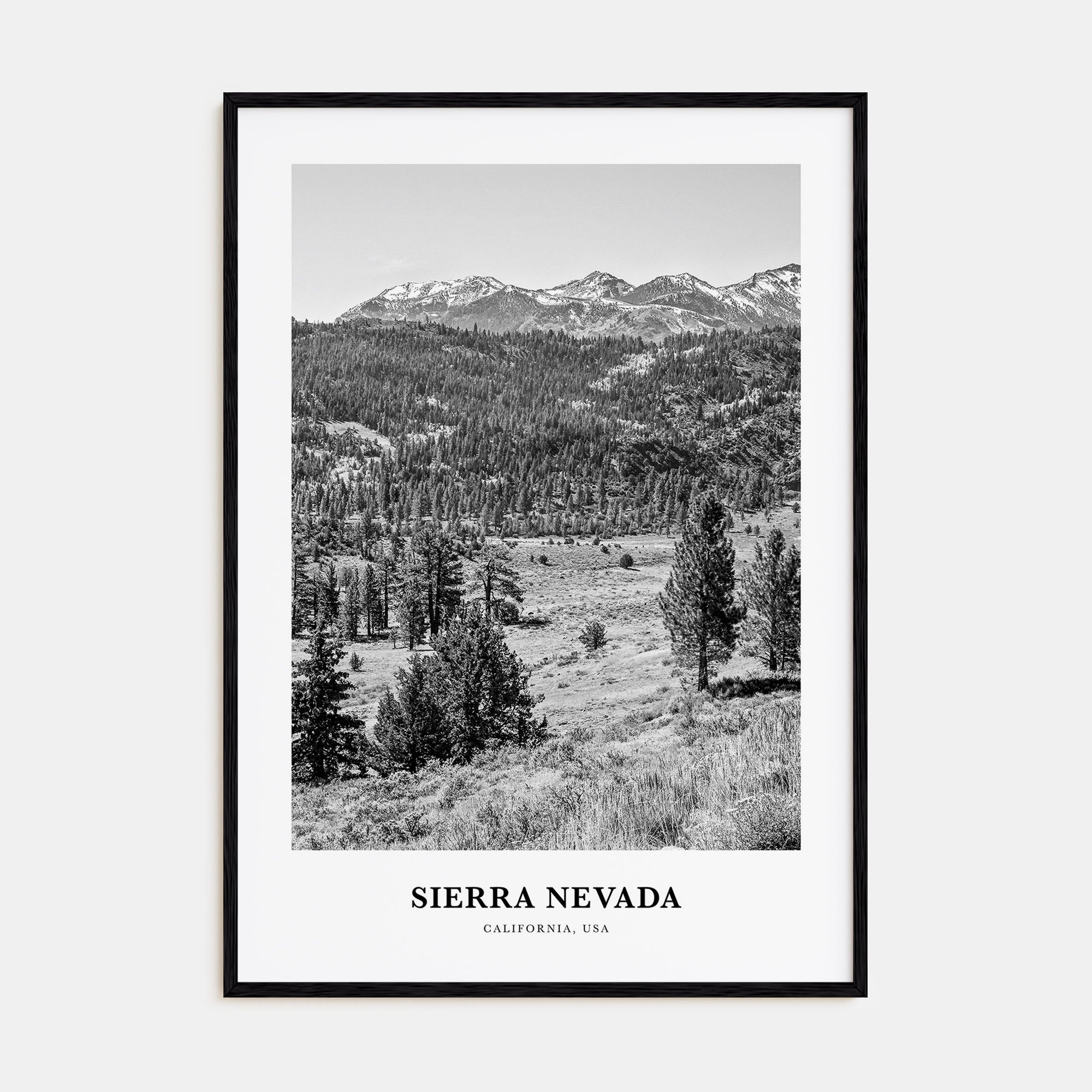 Sierra Nevada Portrait B&W Poster