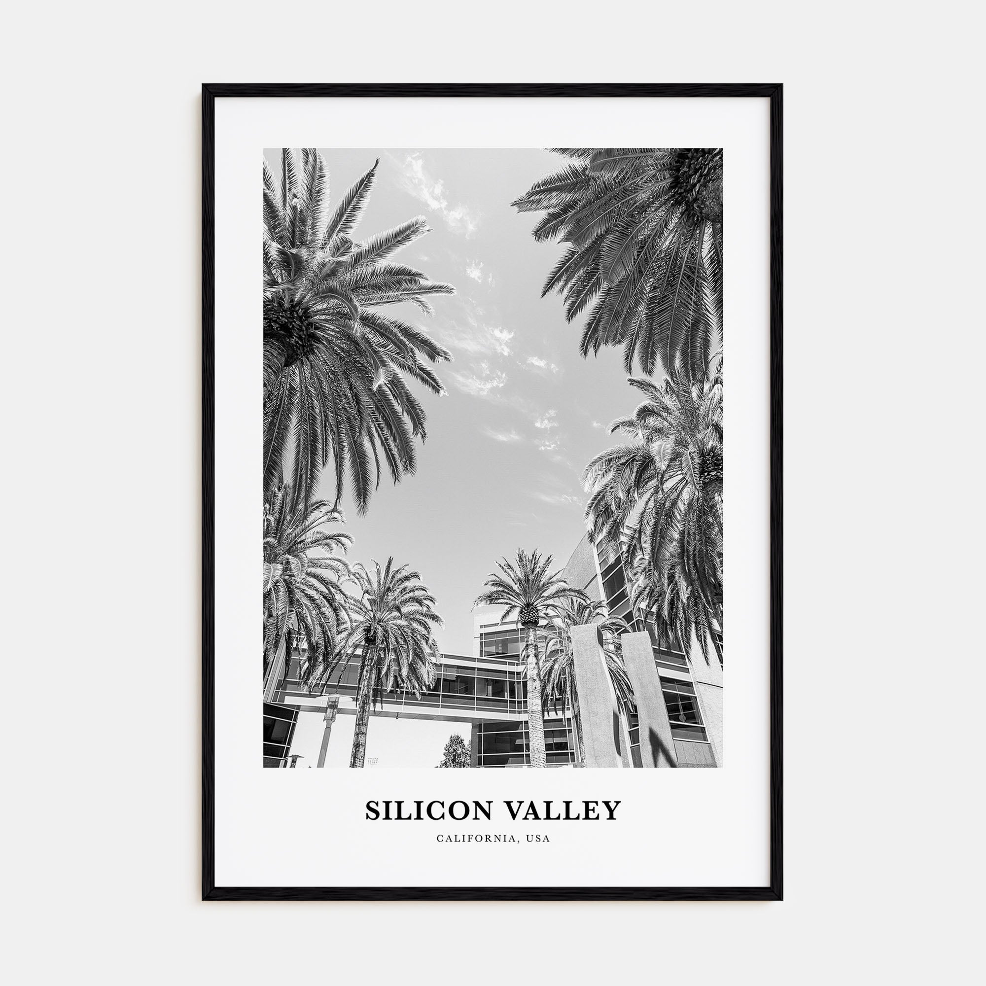 Silicon Valley Portrait B&W Poster