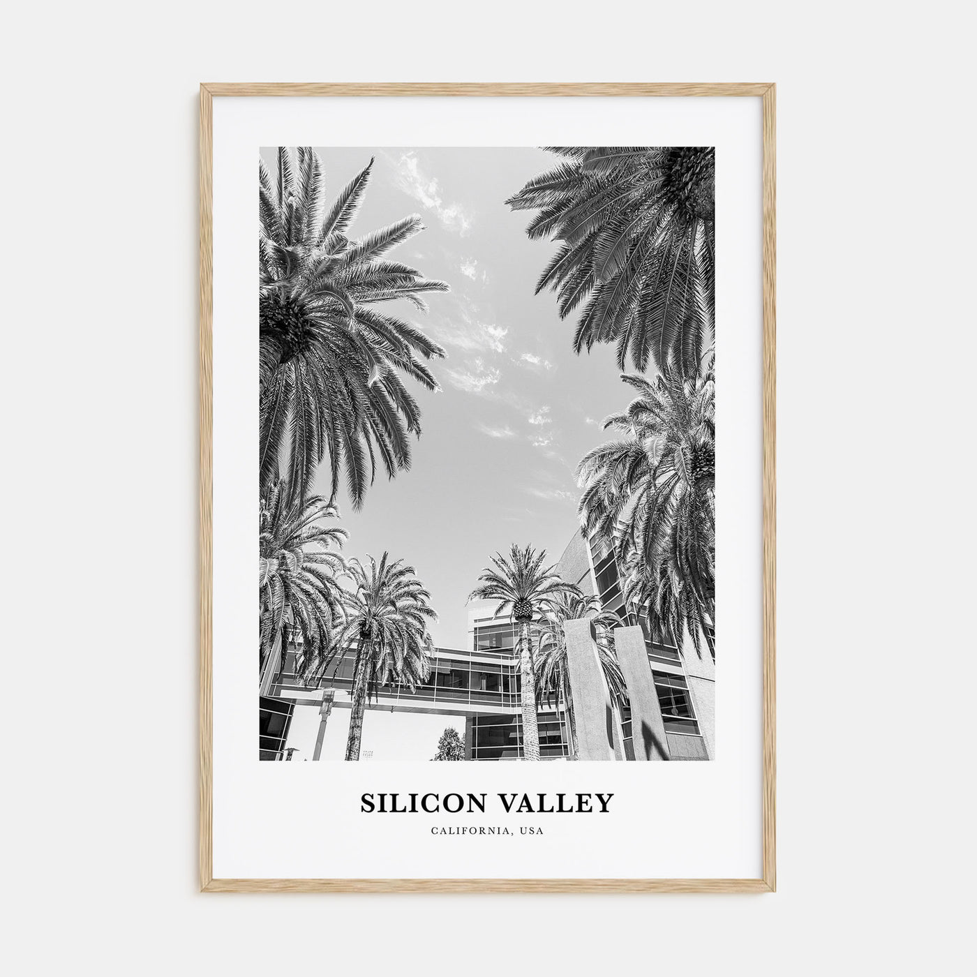 Silicon Valley Portrait B&W Poster