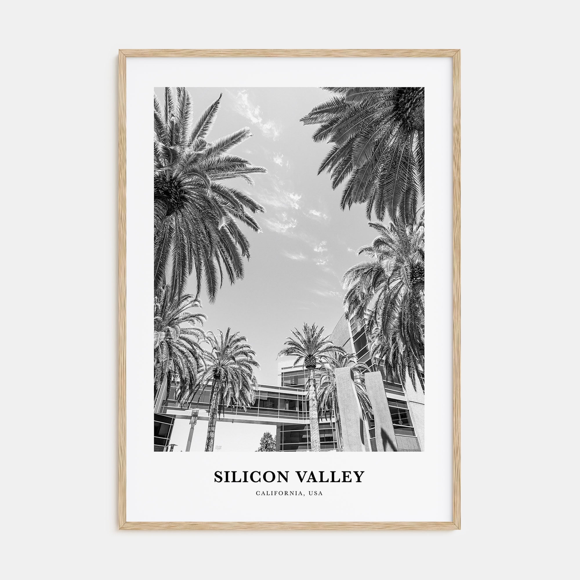 Silicon Valley Portrait B&W Poster