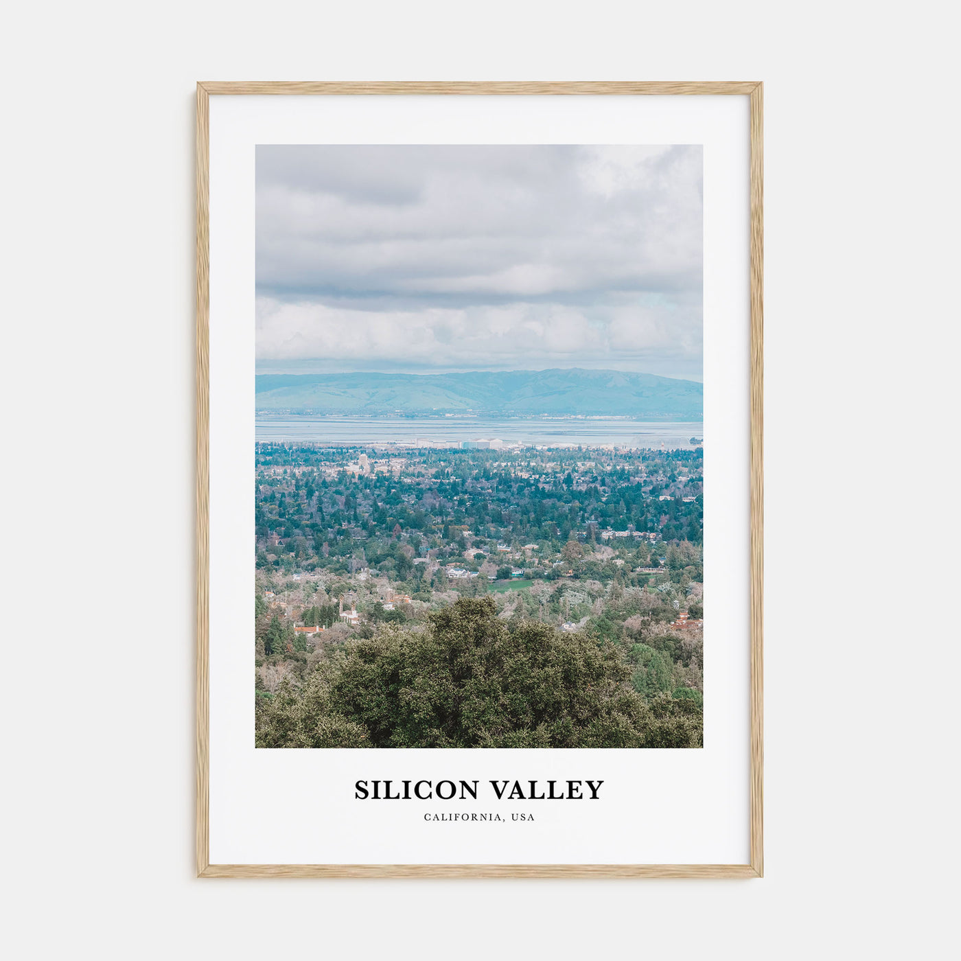 Silicon Valley Portrait Color No 1 Poster