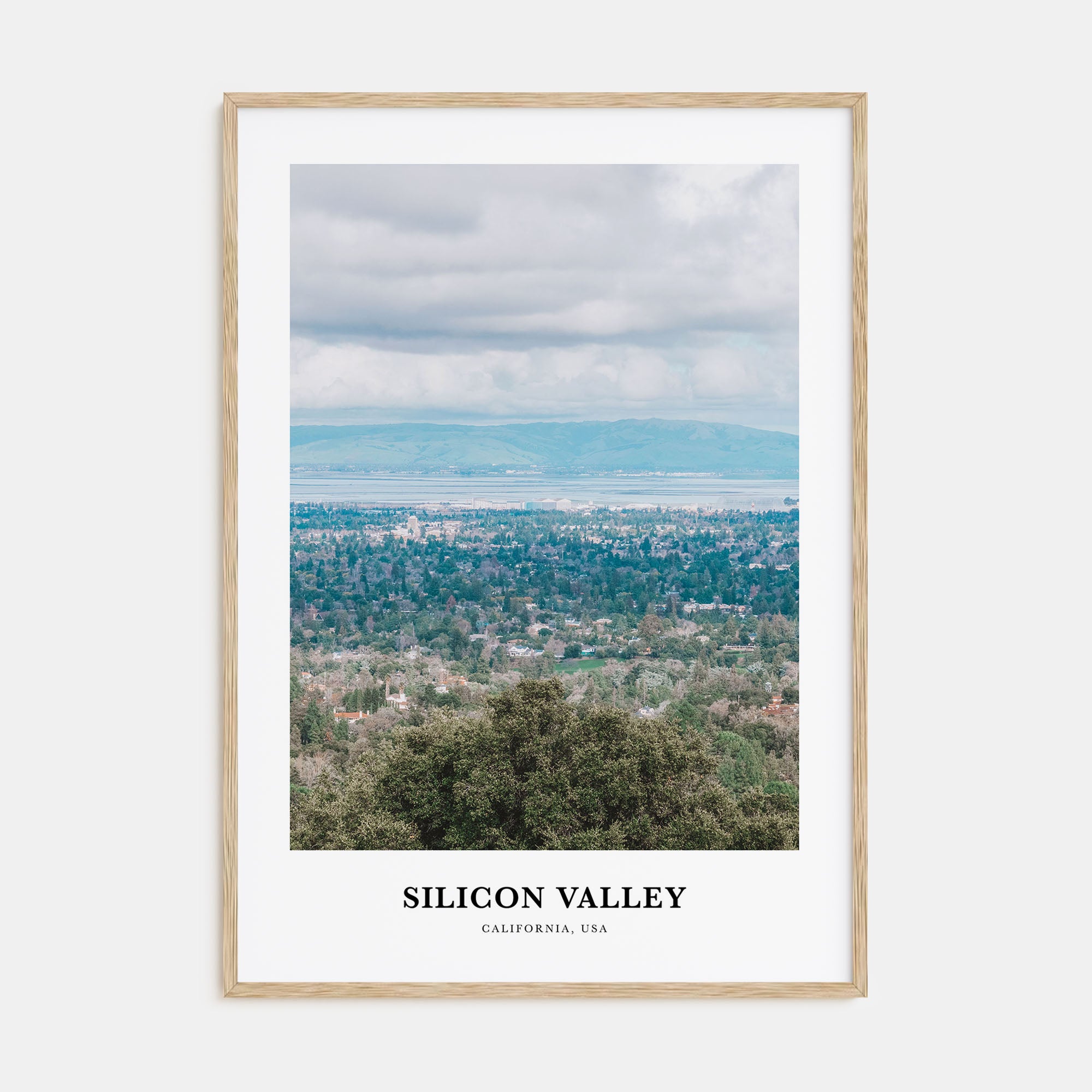 Silicon Valley Portrait Color No 1 Poster