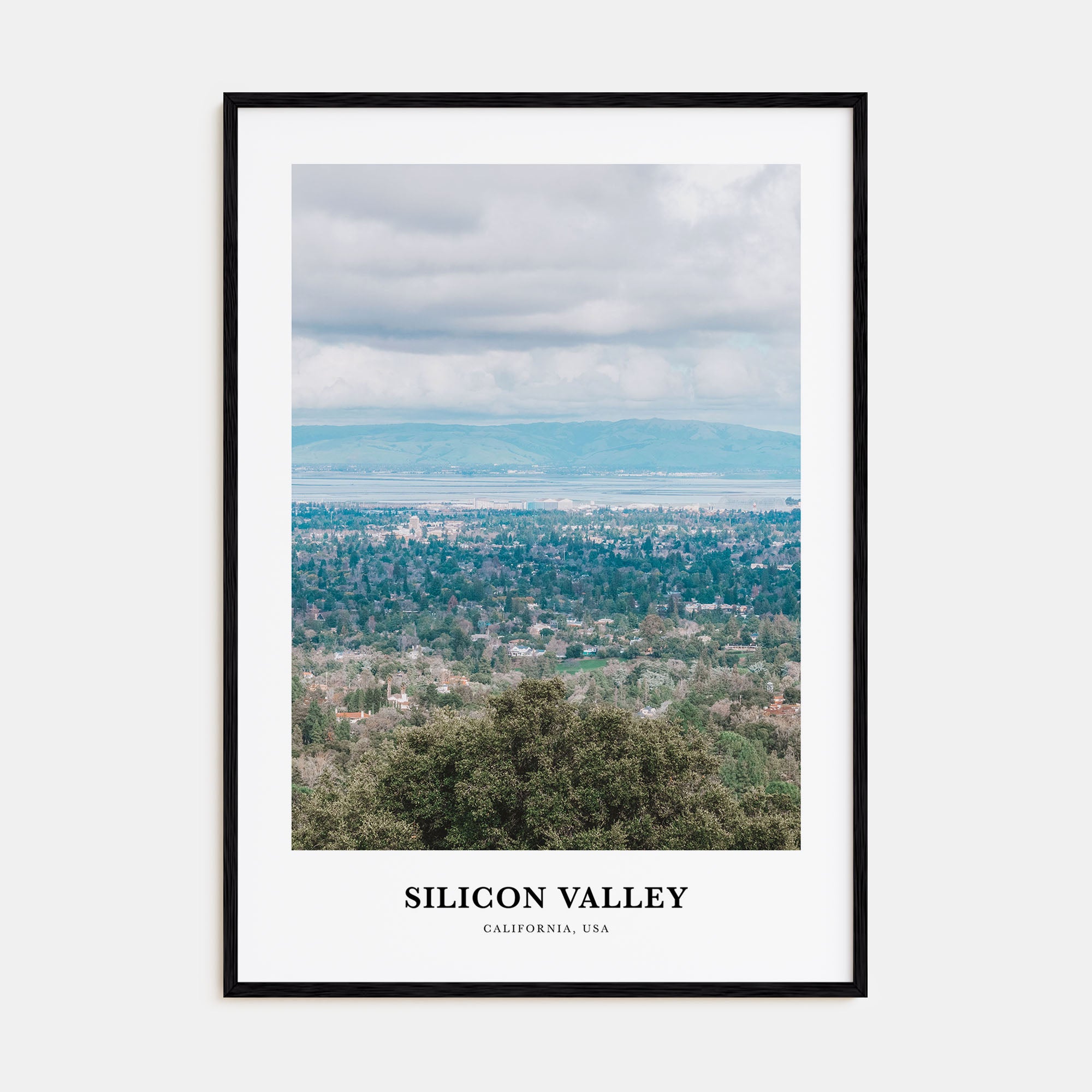 Silicon Valley Portrait Color No 1 Poster