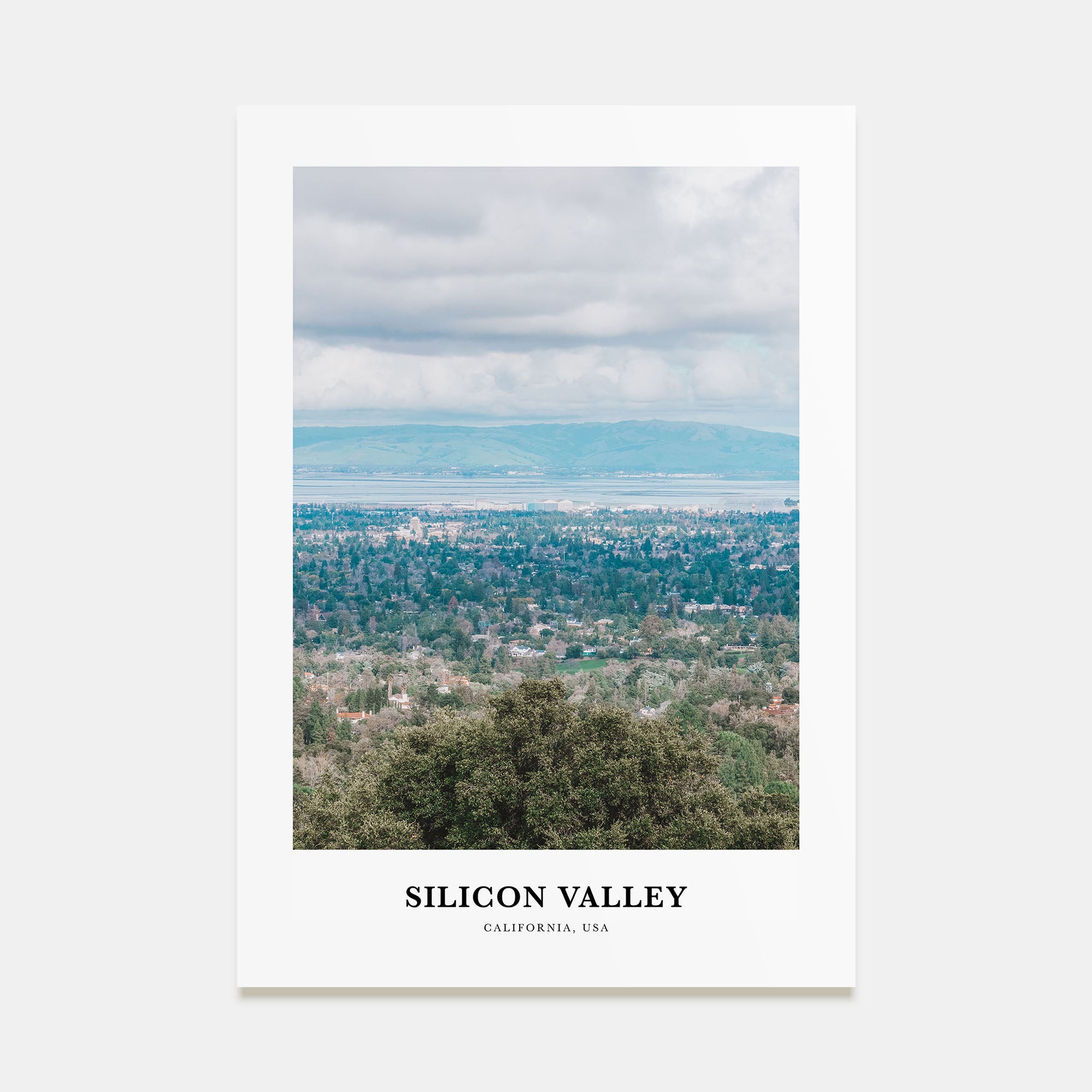 Silicon Valley Portrait Color No 1 Poster