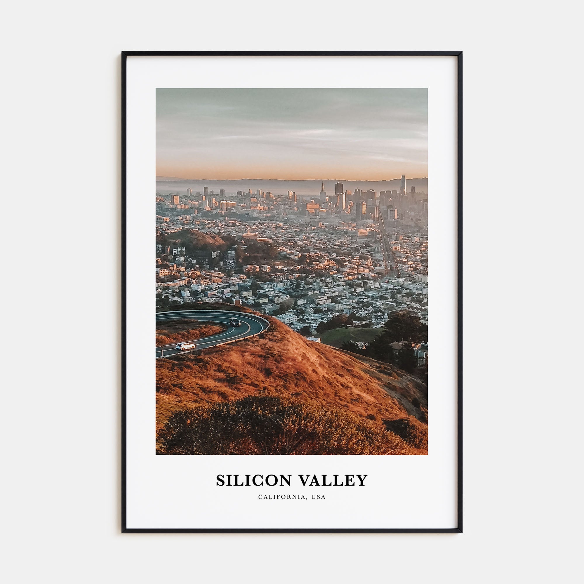 Silicon Valley Portrait Color No 3 Poster