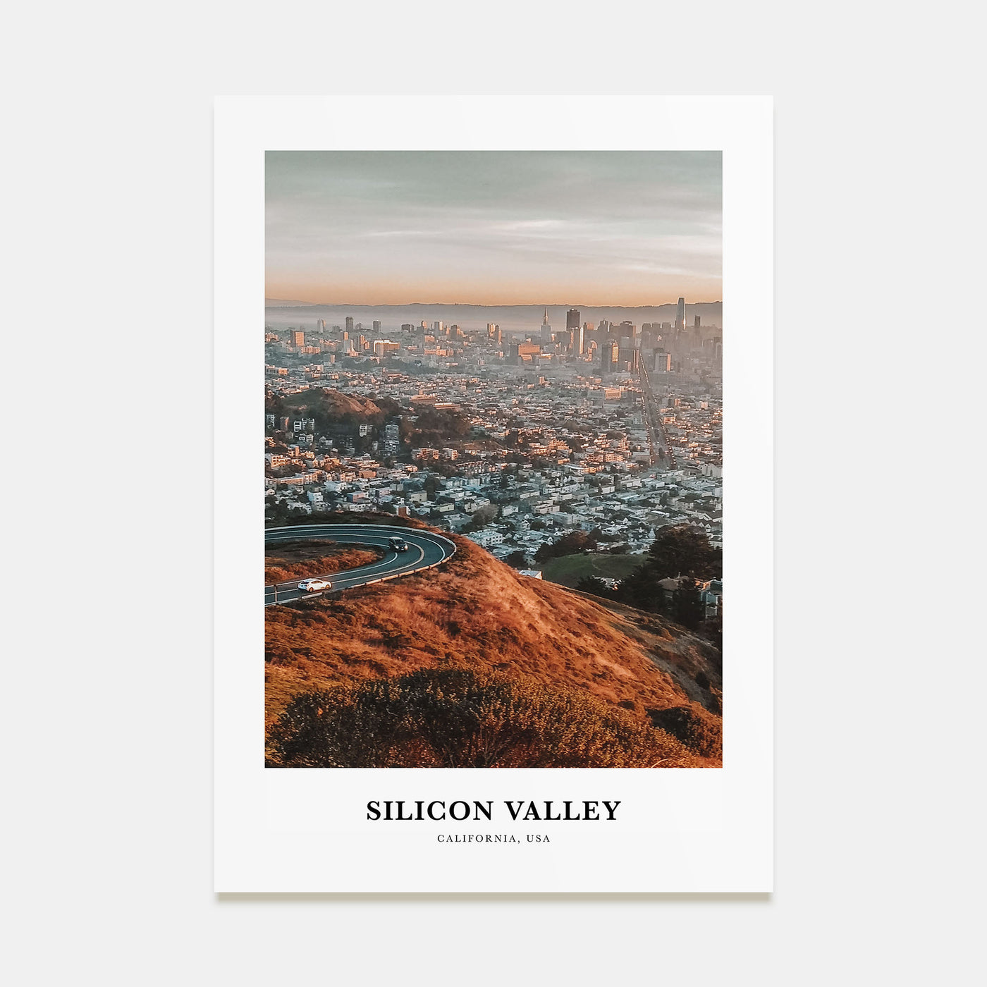 Silicon Valley Portrait Color No 3 Poster