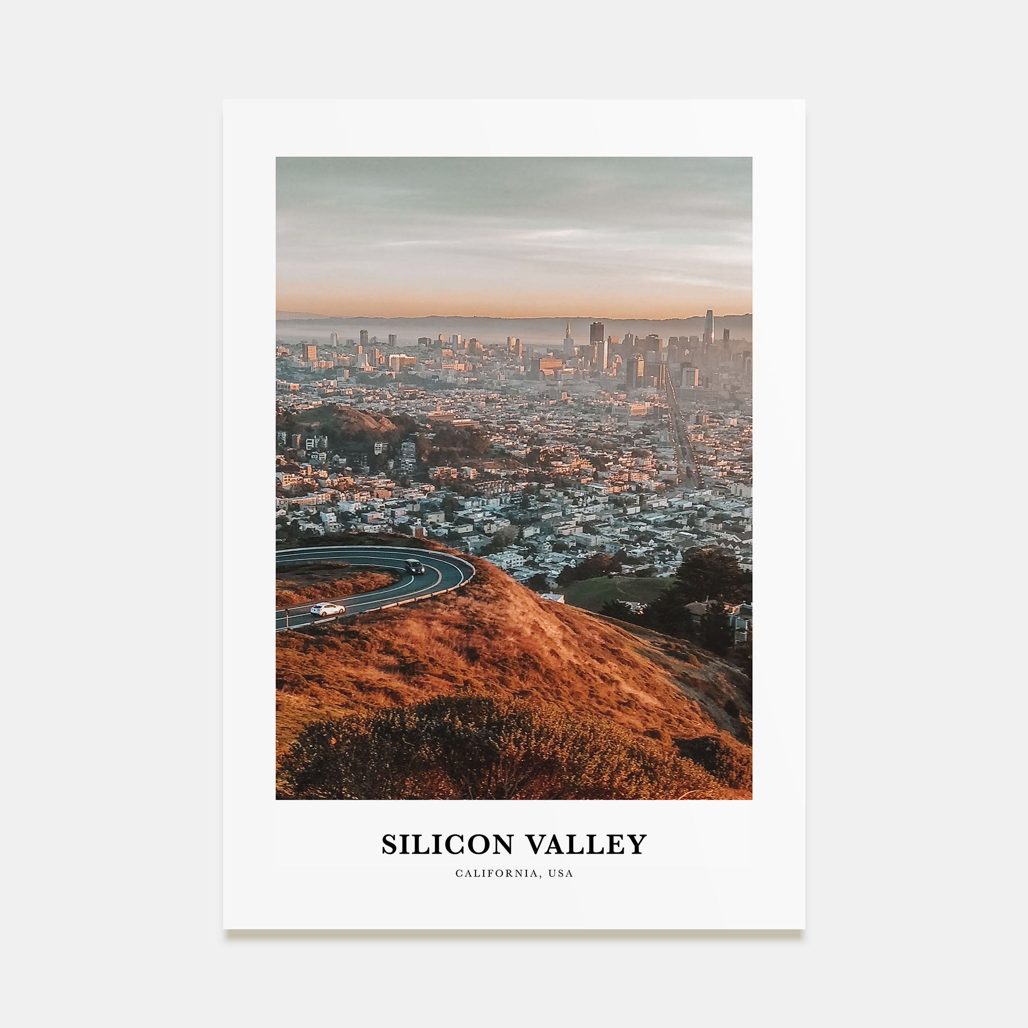 Silicon Valley Portrait Color No 3 Poster