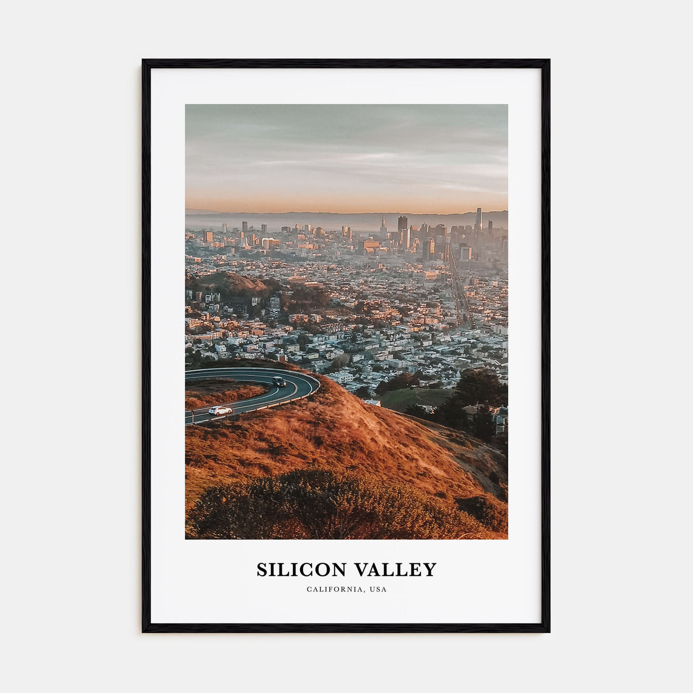 Silicon Valley Portrait Color No 3 Poster