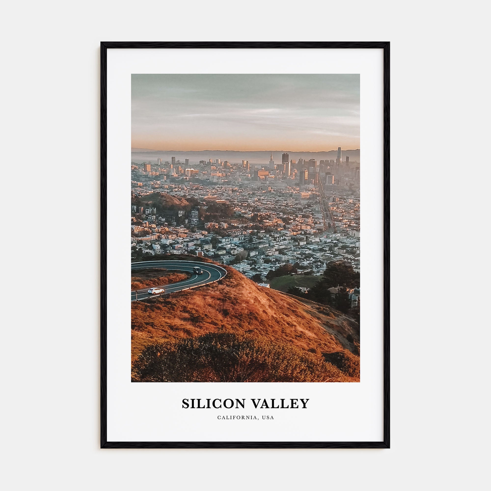 Silicon Valley Portrait Color No 3 Poster