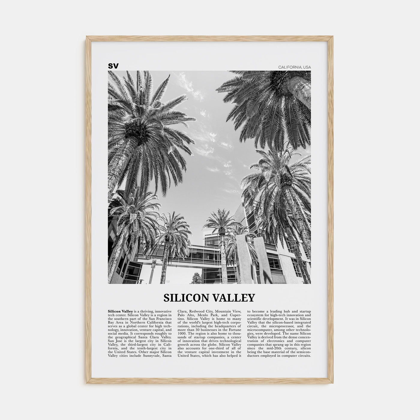 Silicon Valley Travel B&W Poster