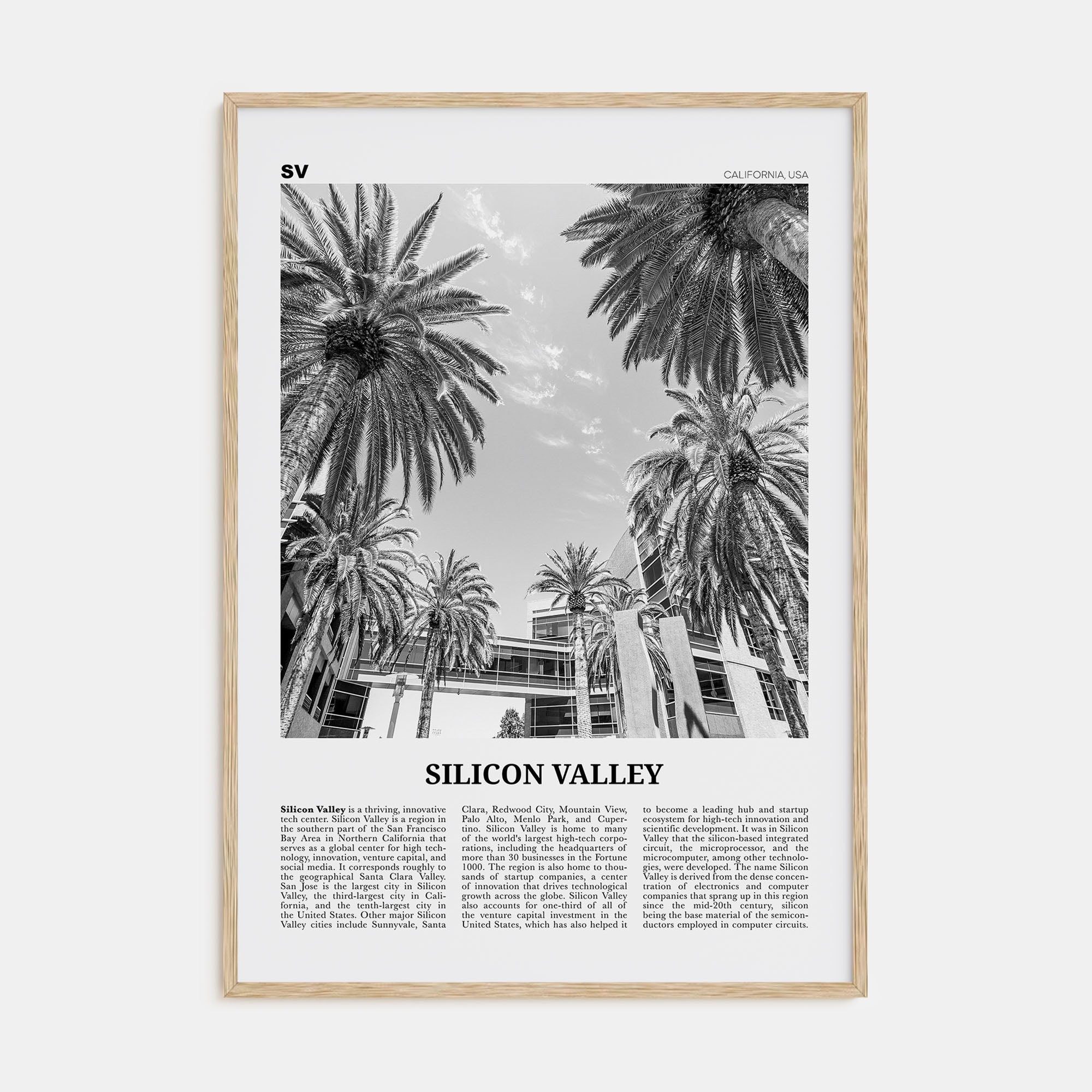 Silicon Valley Travel B&W Poster