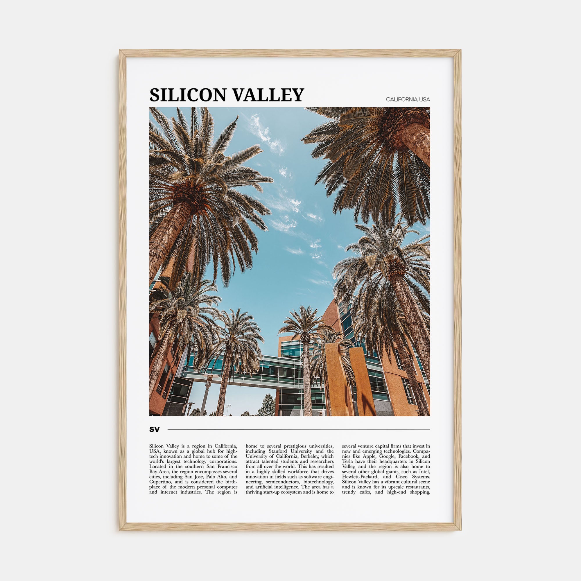 Silicon Valley Travel Color No 2 Poster
