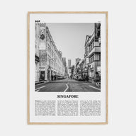 Singapore Travel B&W No 2 Poster