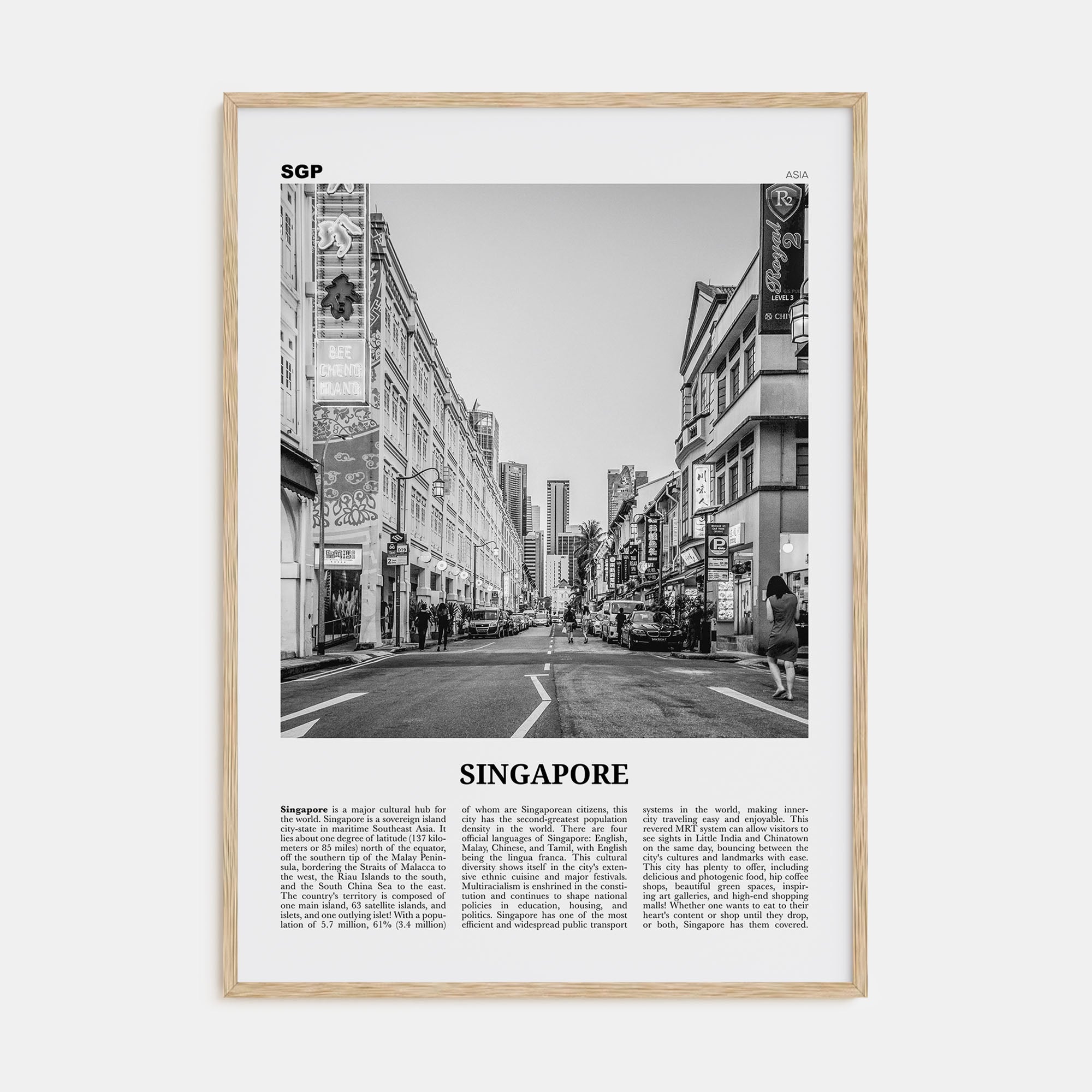 Singapore Travel B&W No 2 Poster